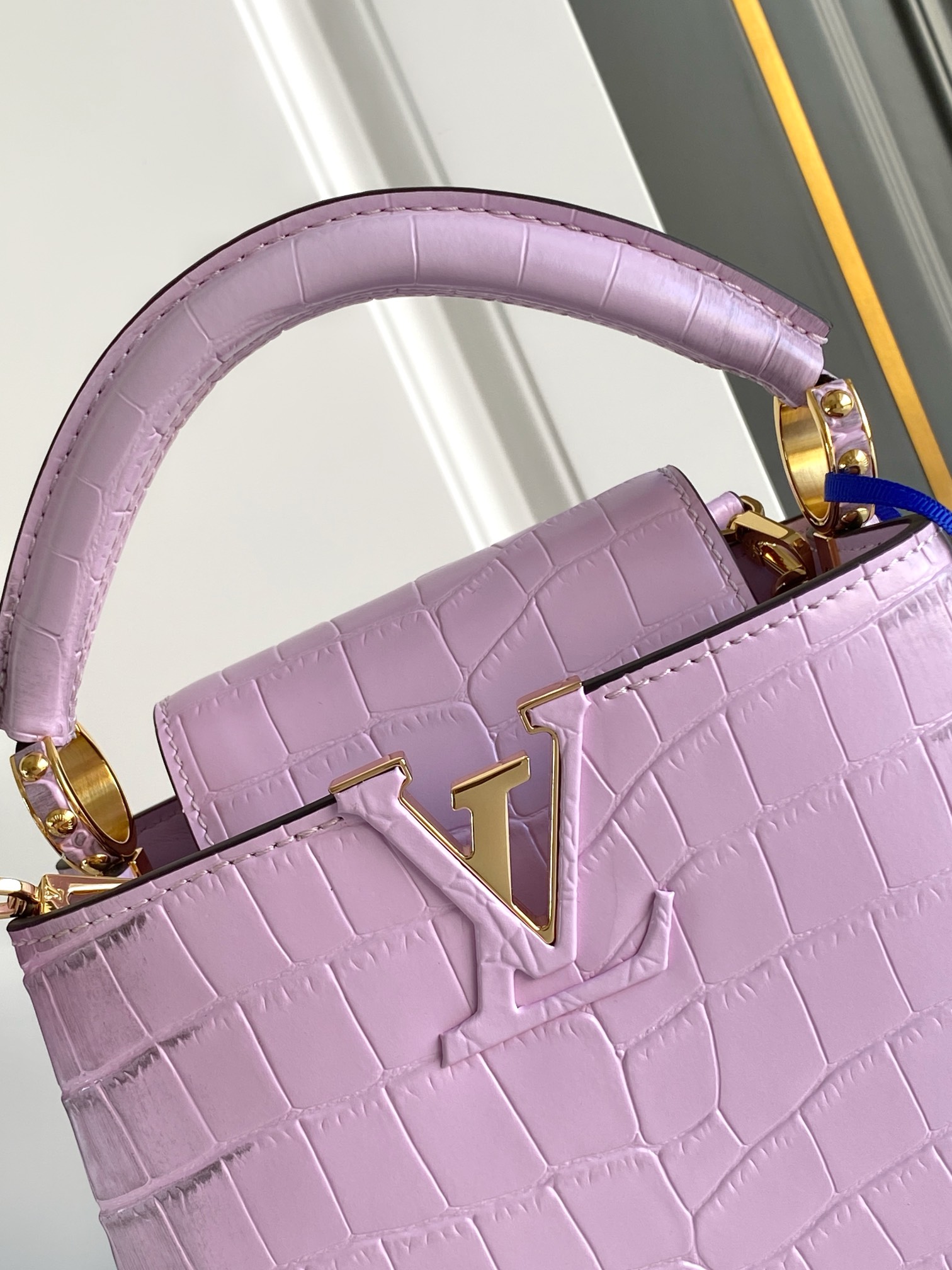 Louis Vuitton Capucines Series