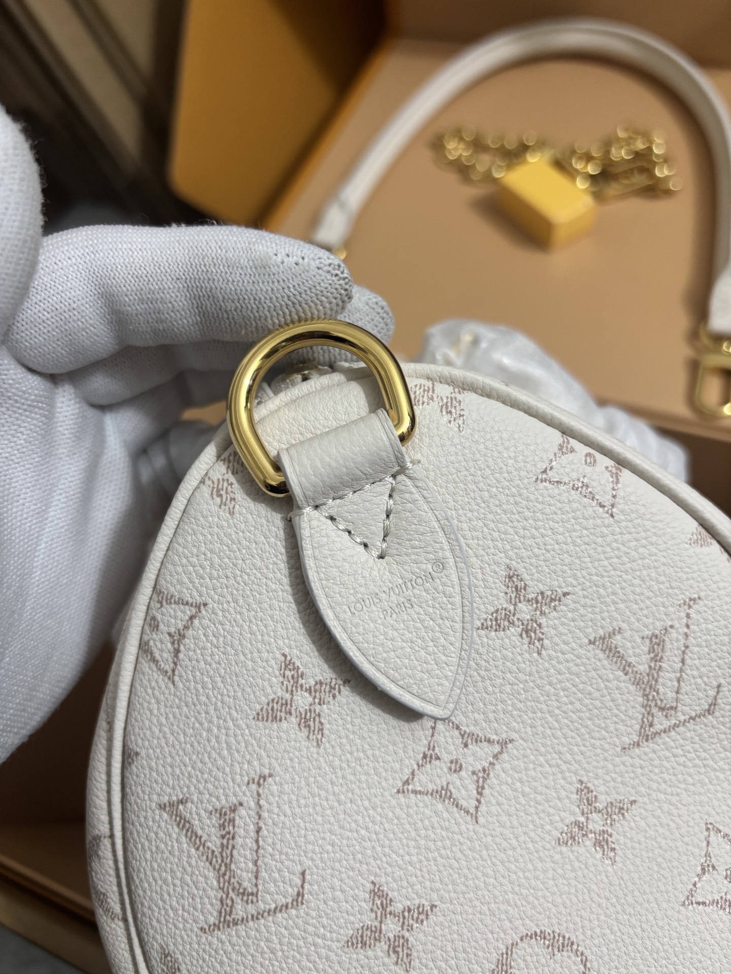 Louis Vuitton Speedy Bandoulière 25 Handbag