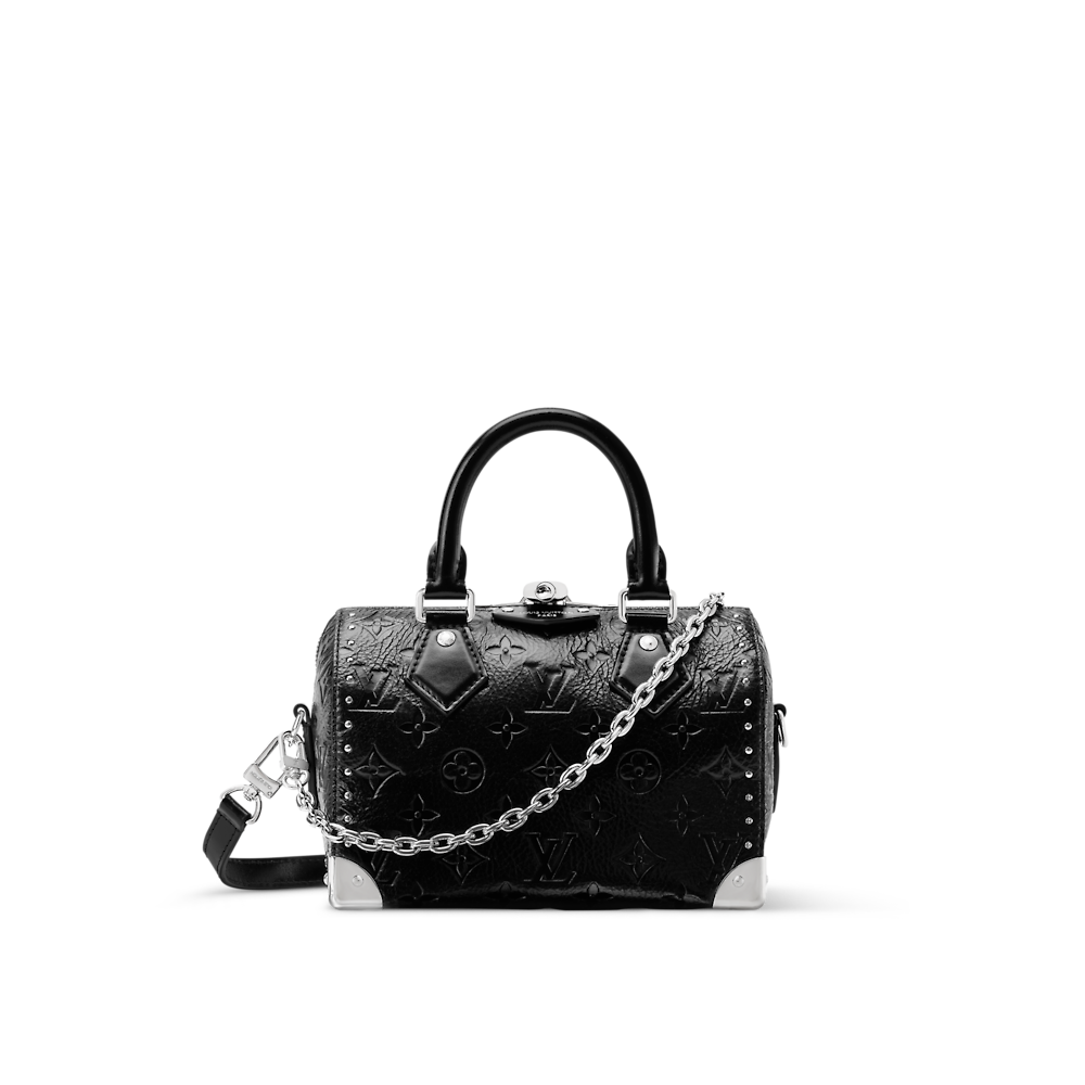 Louis Vuitton Speedy Trunk 20 All-Leather Handbag