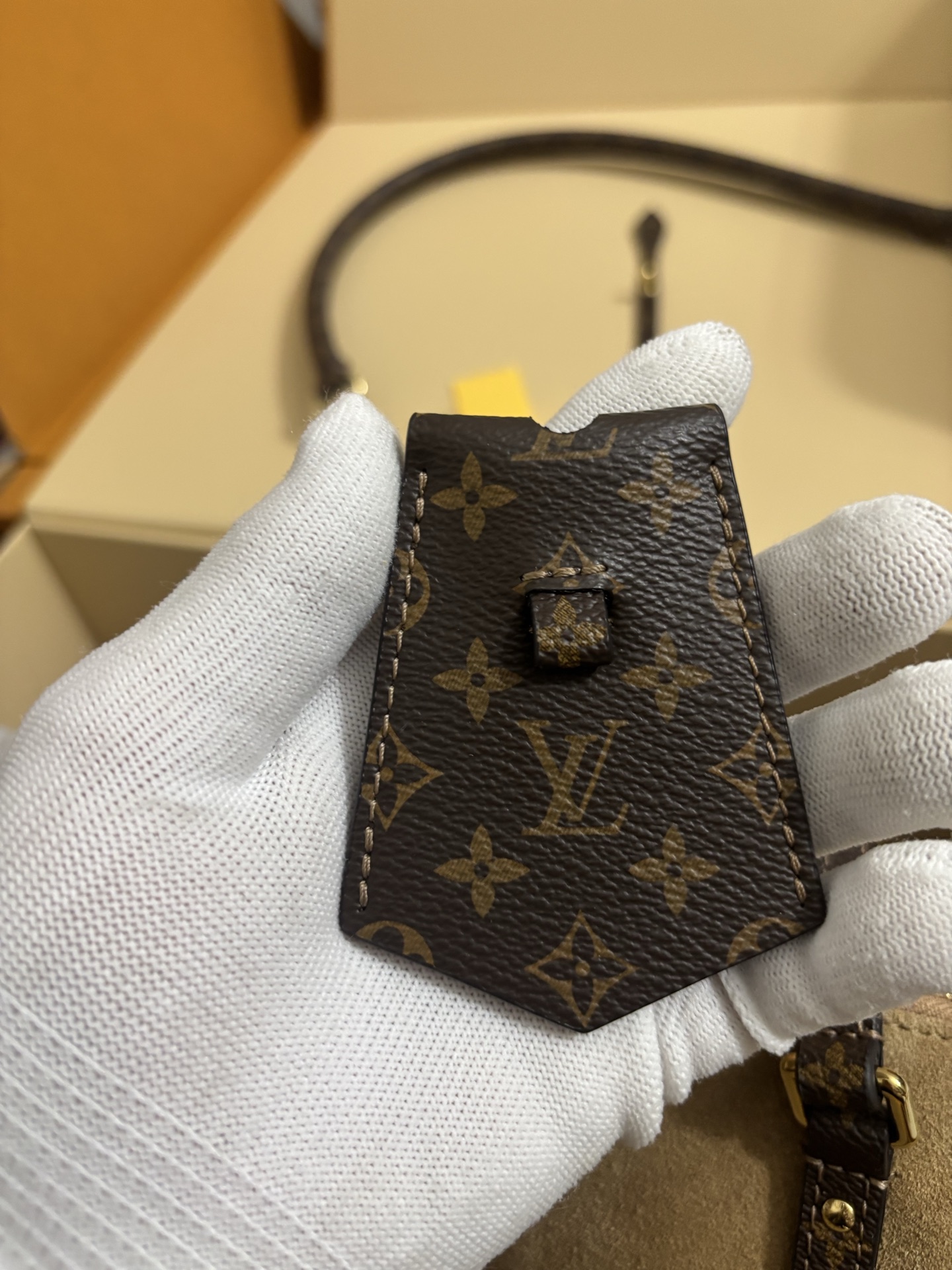 Louis Vuitton Express King of Bags