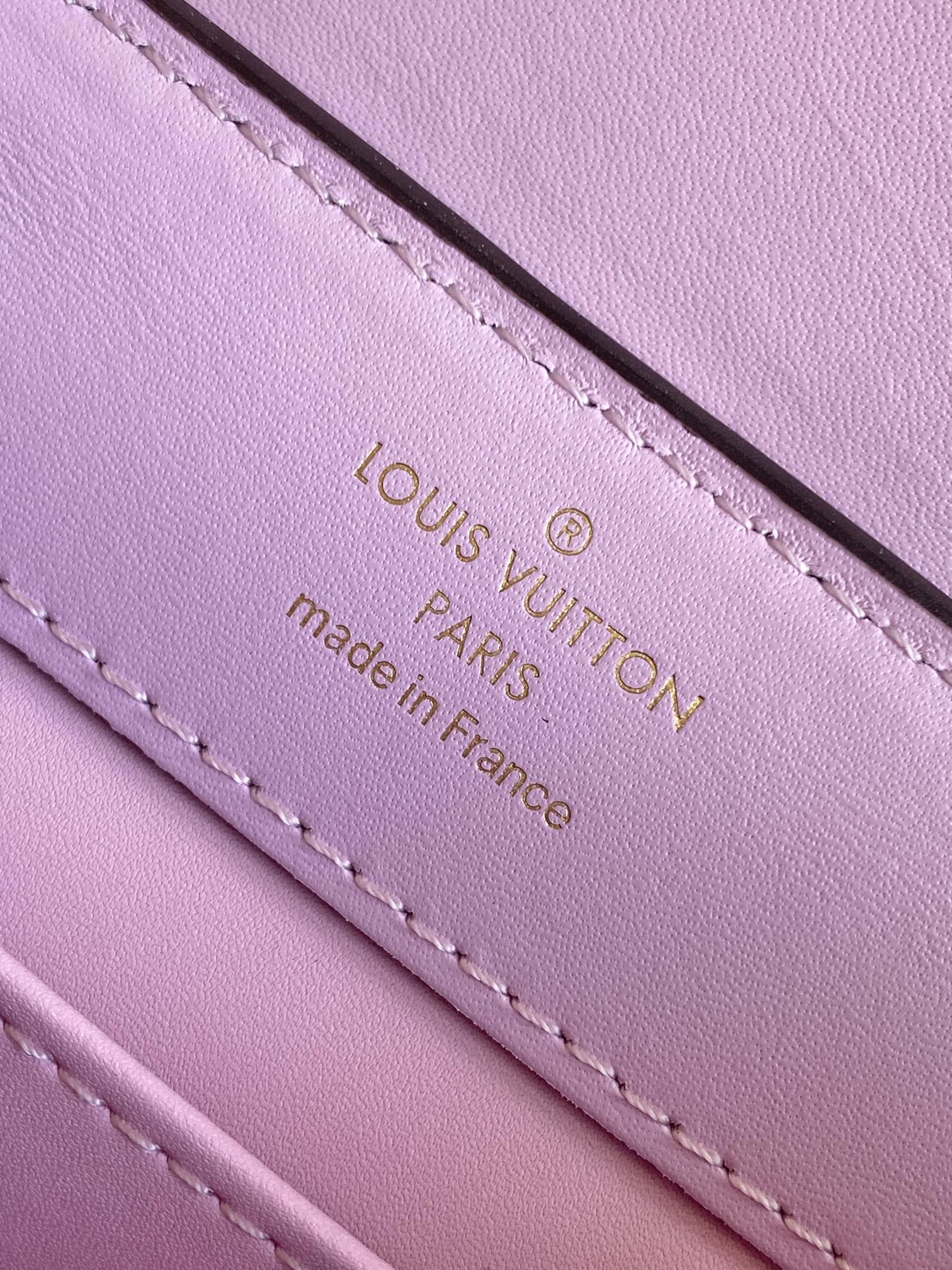 Louis Vuitton Capucines Series