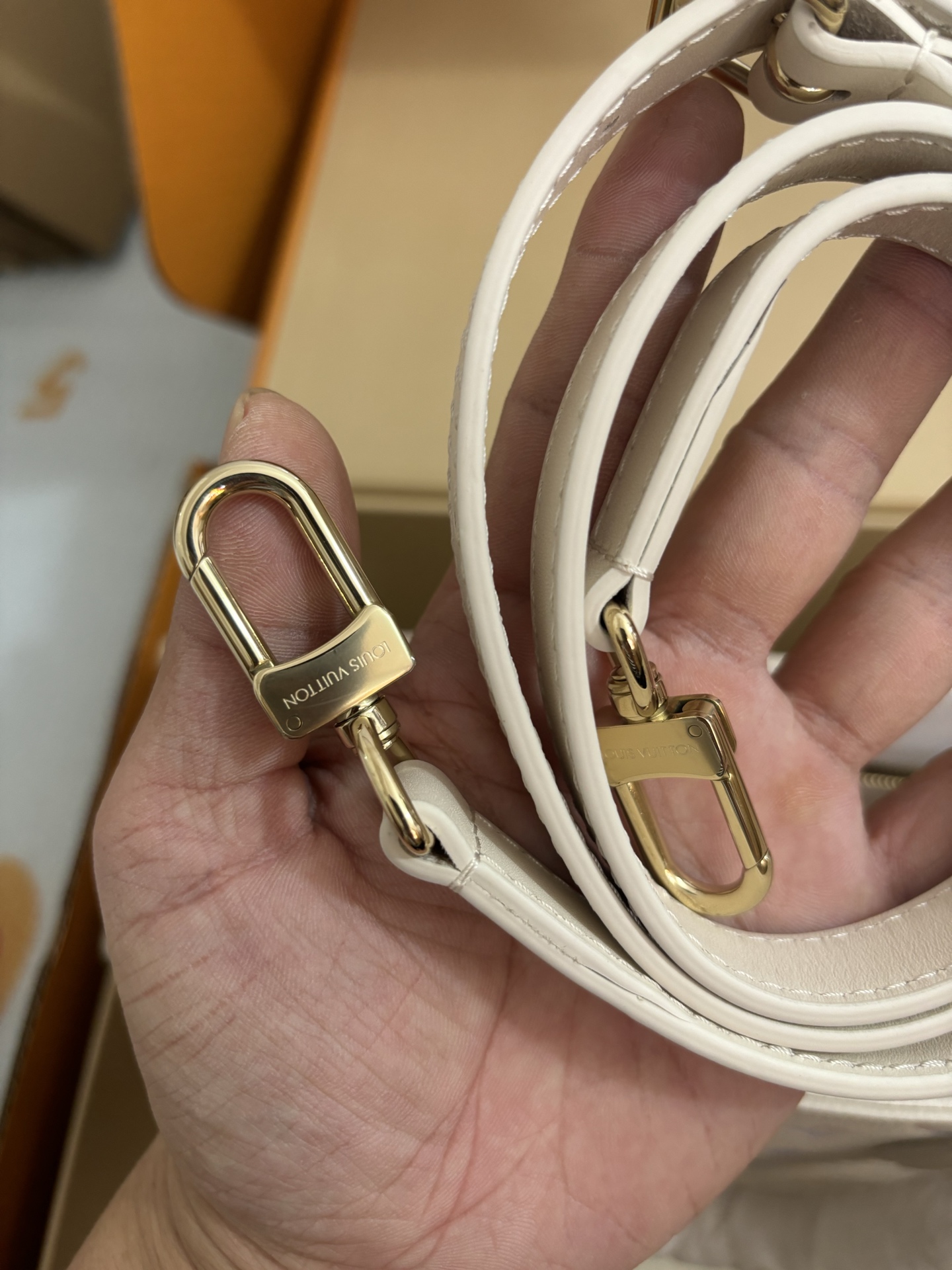 Louis Vuitton Onthego Small Handbag