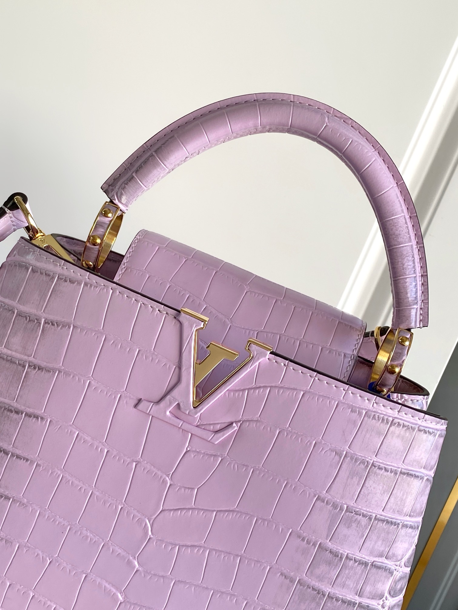 Louis Vuitton Capucines Series