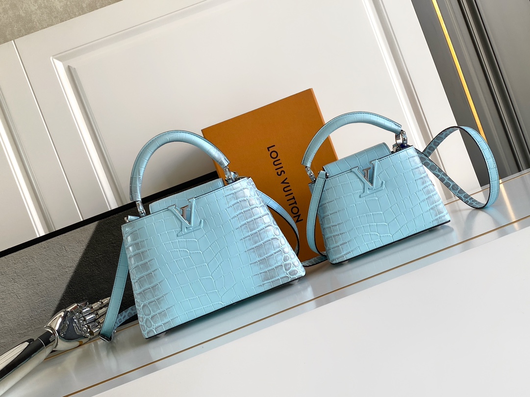 Louis Vuitton Capucines Series