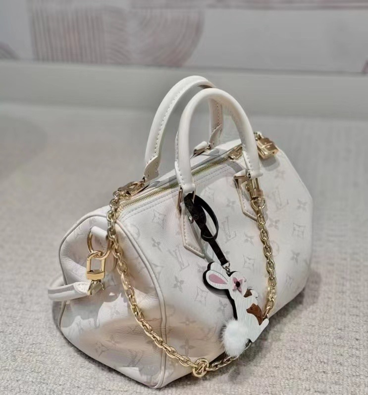 Louis Vuitton Speedy Bandoulière 25 Handbag