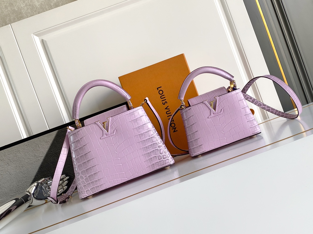 Louis Vuitton Capucines Series