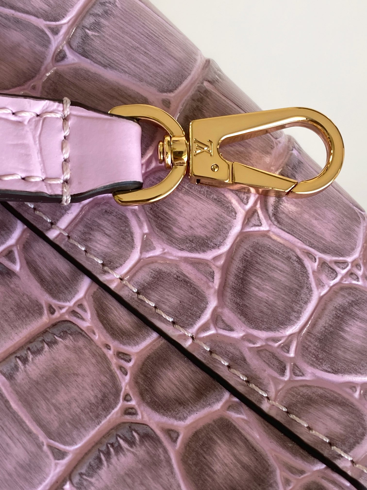 Louis Vuitton Capucines Series