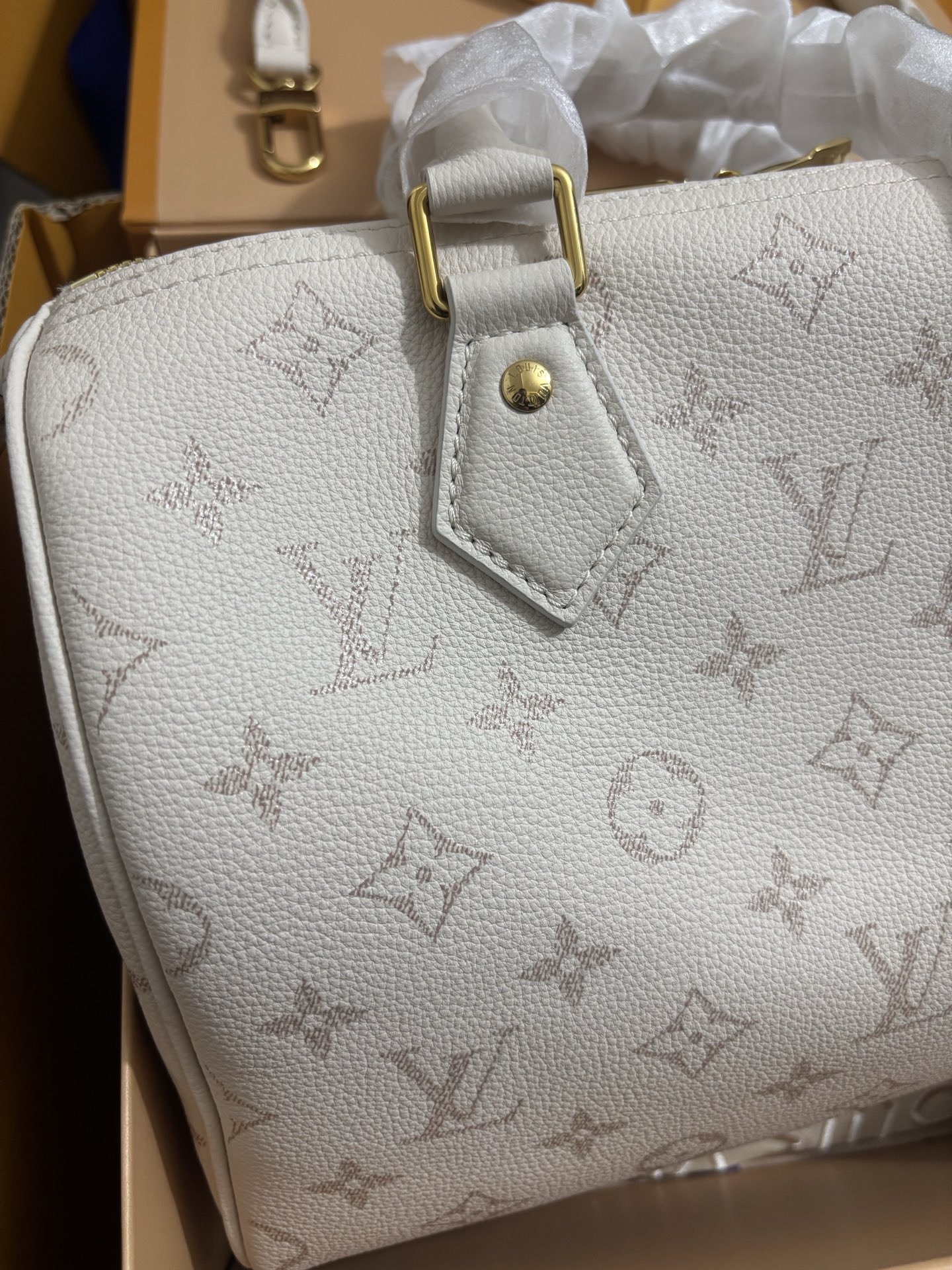 Louis Vuitton Speedy Bandoulière 25 Handbag