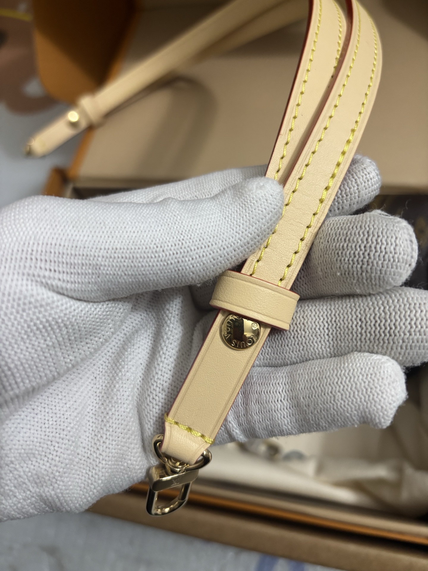 Louis Vuitton Wallet On Chain Ivy cat handbag