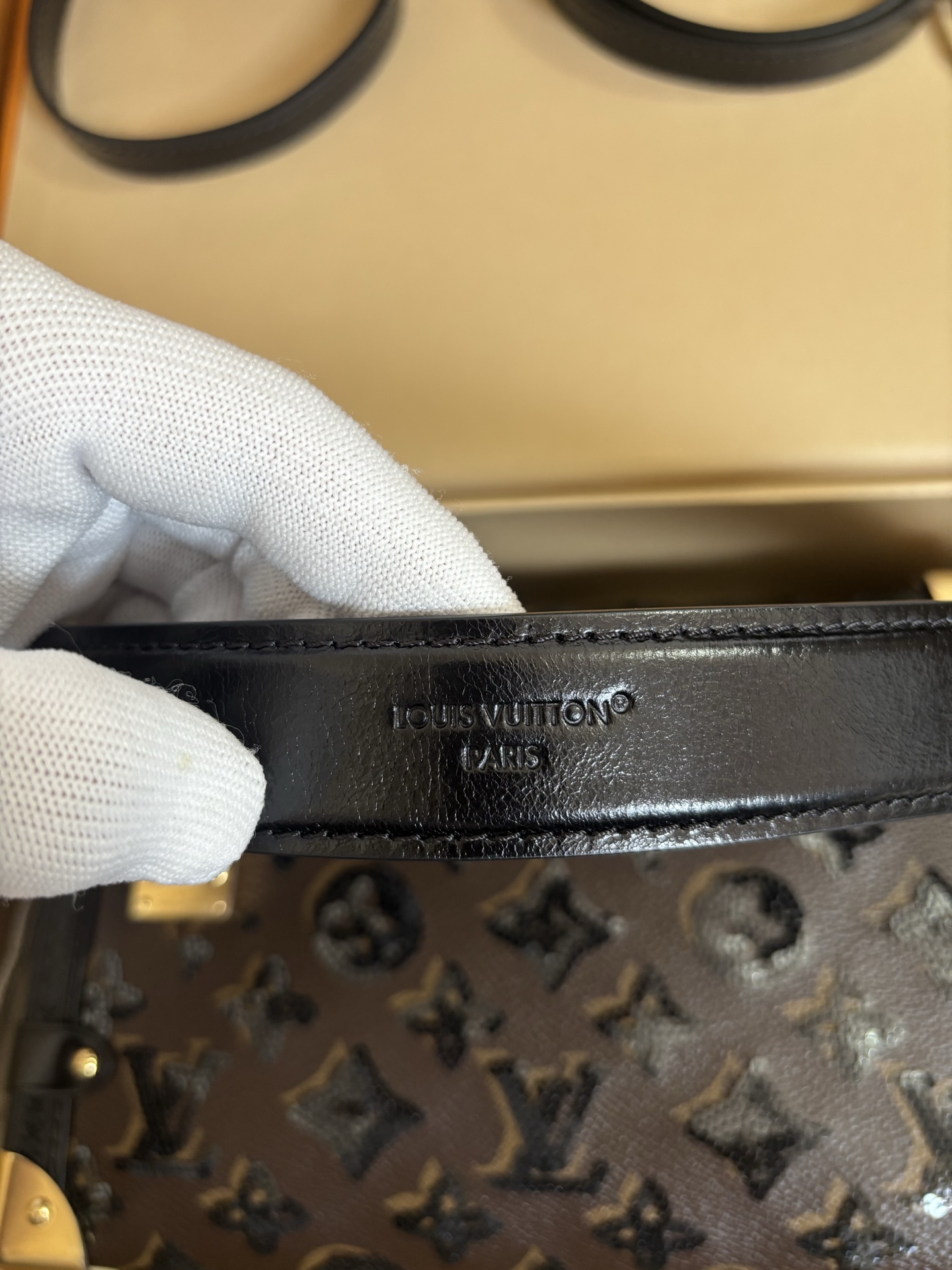 LV Ski Series Sac Side Trunk MM