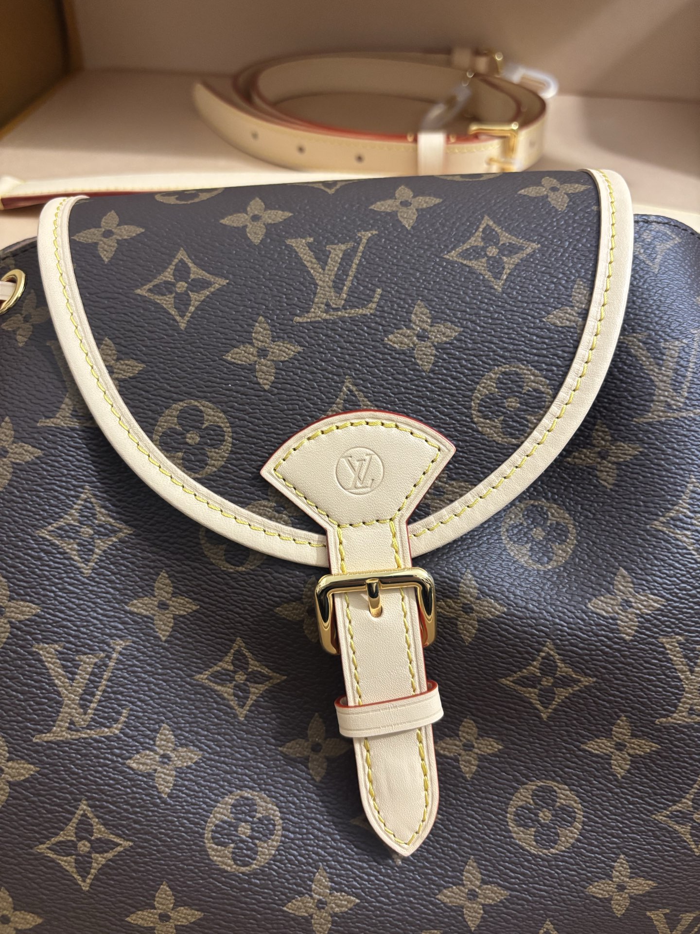Louis Vuitton Odyssee Medium Handbag
