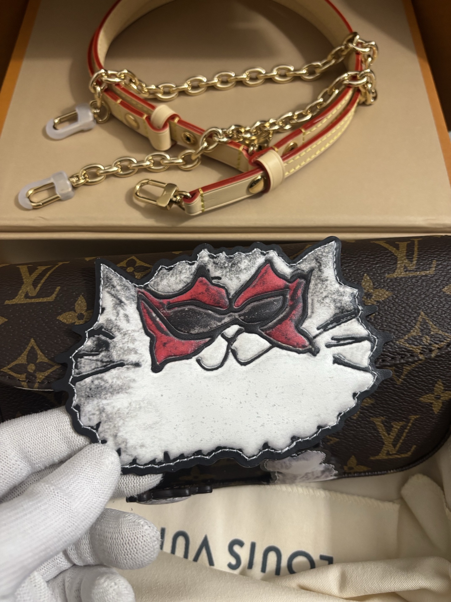 Louis Vuitton Wallet On Chain Ivy cat handbag
