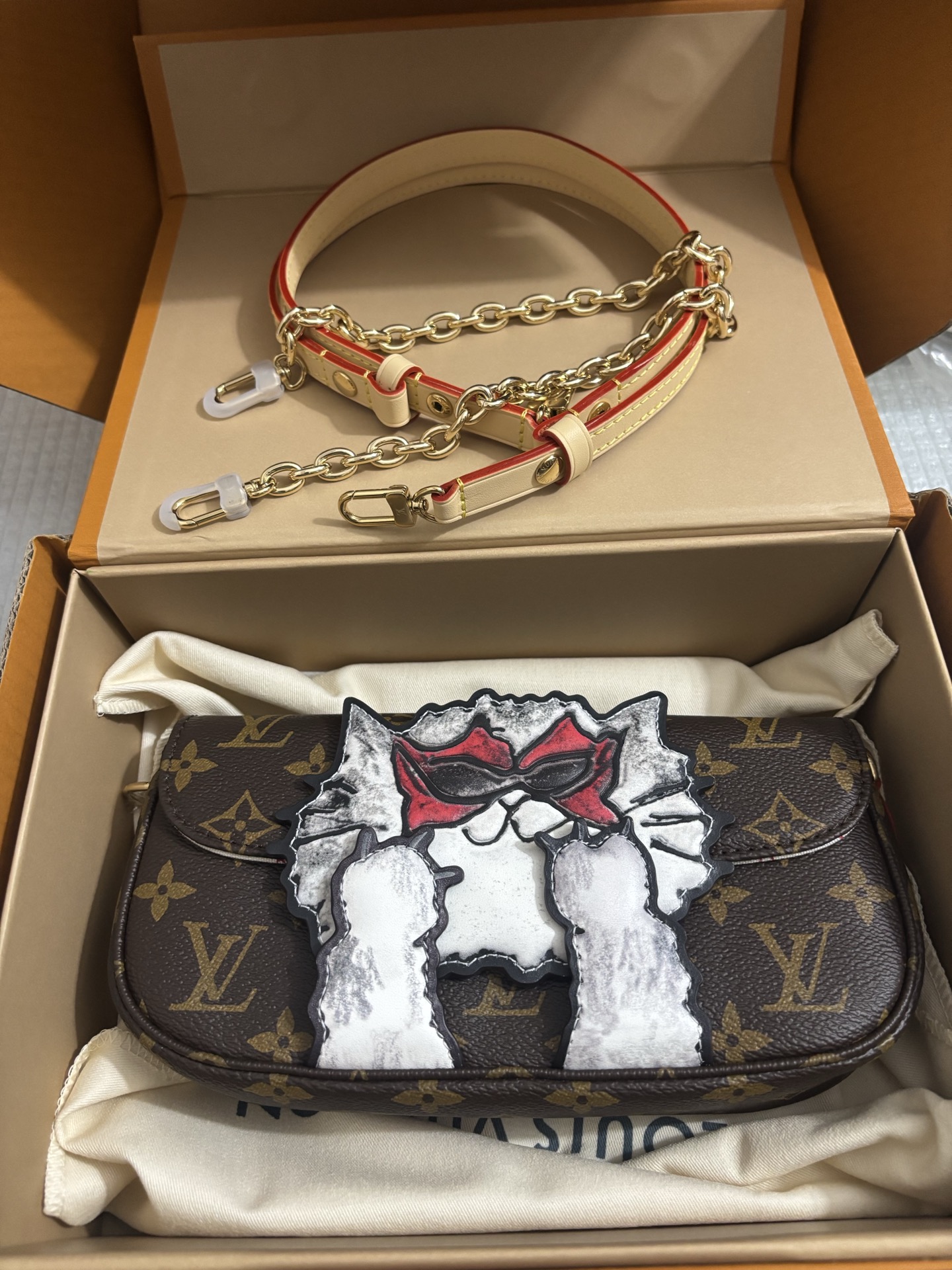Louis Vuitton Wallet On Chain Ivy cat handbag