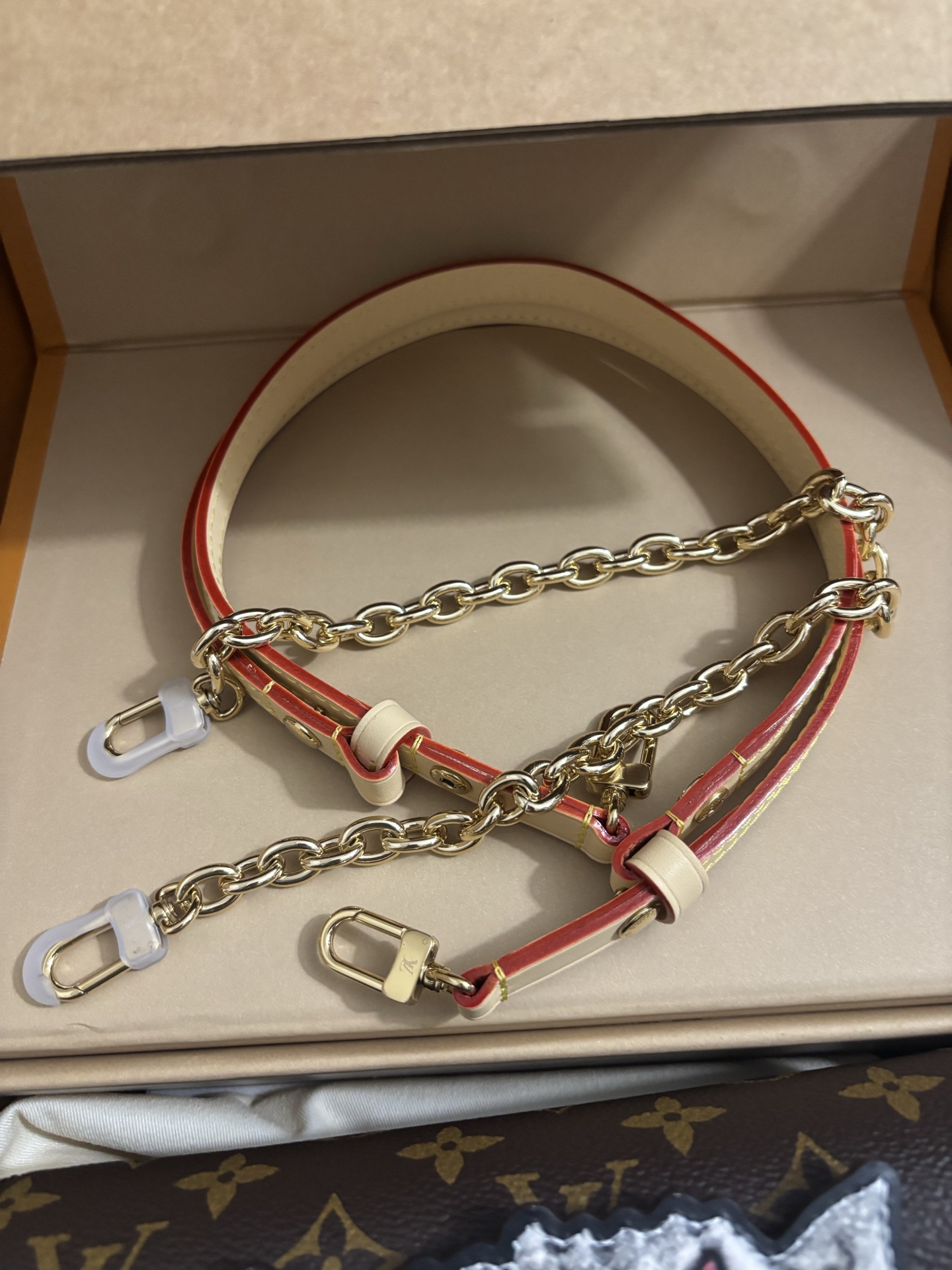 Louis Vuitton Wallet On Chain Ivy cat handbag