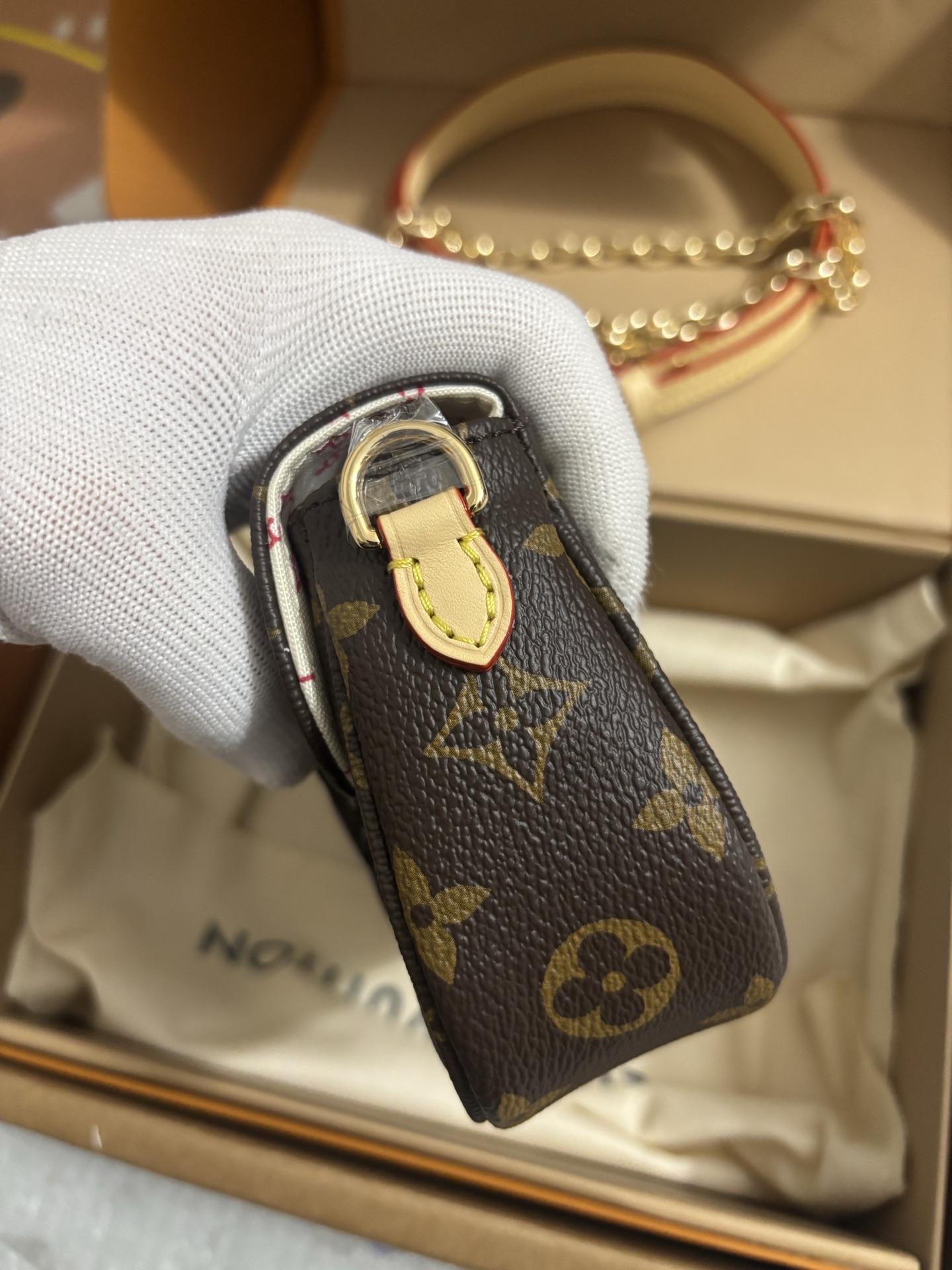 Louis Vuitton Wallet On Chain Ivy cat handbag