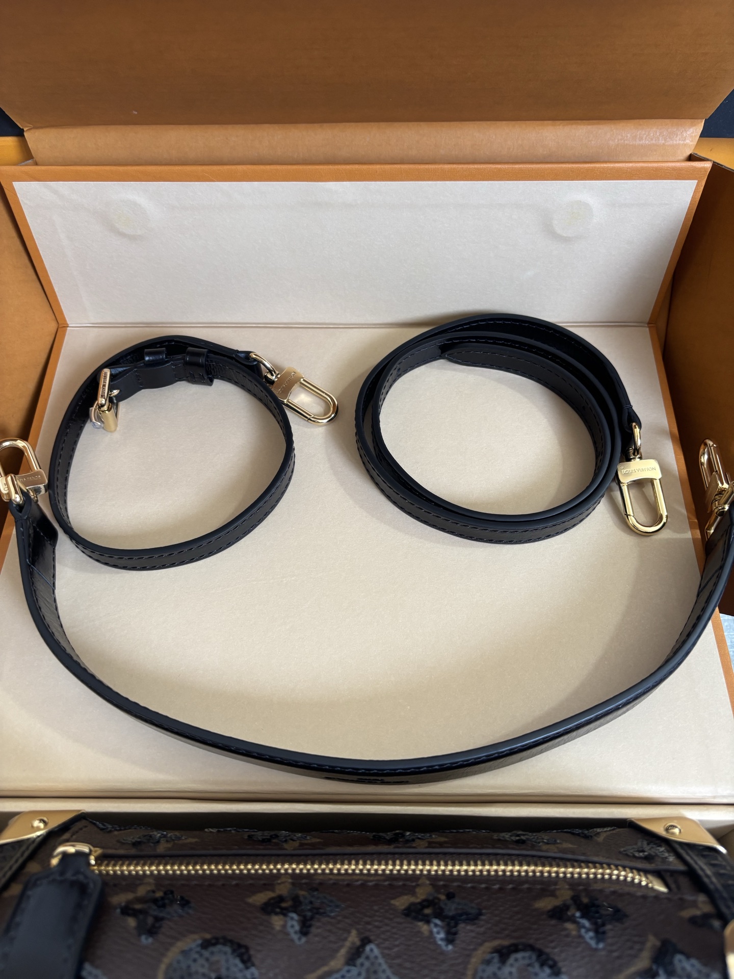 LV Ski Series Sac Side Trunk MM