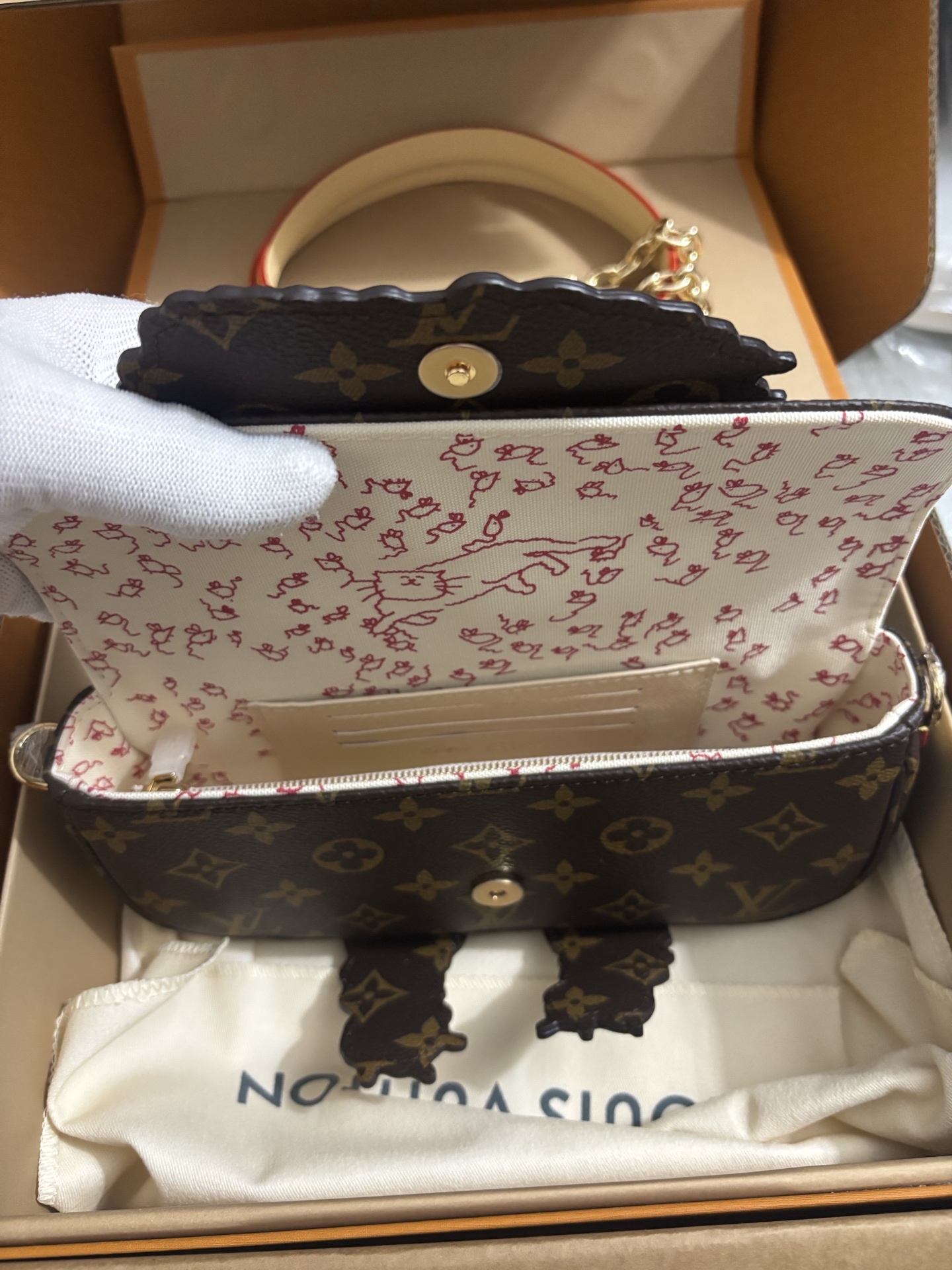 Louis Vuitton Wallet On Chain Ivy cat handbag