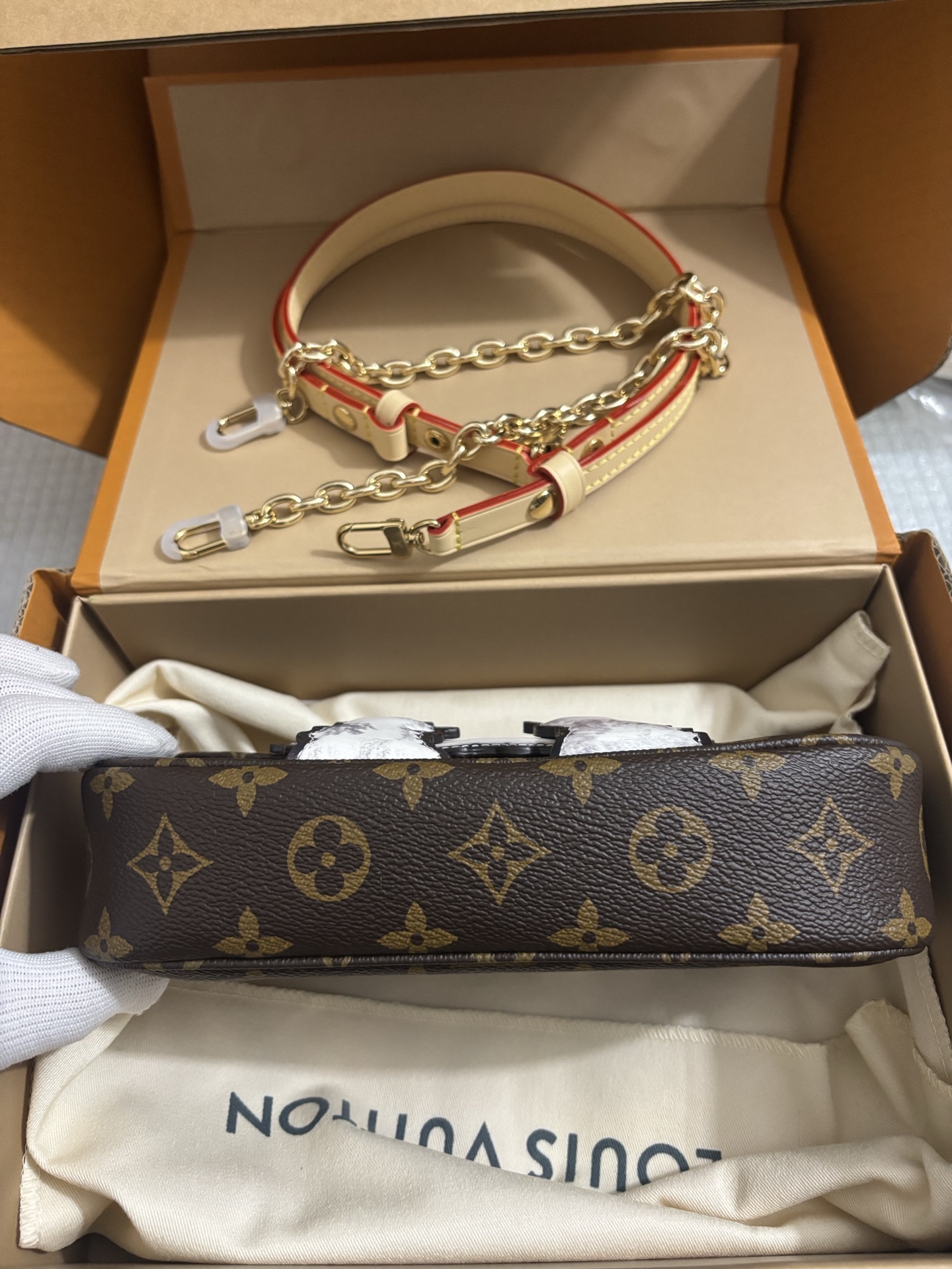 Louis Vuitton Wallet On Chain Ivy cat handbag