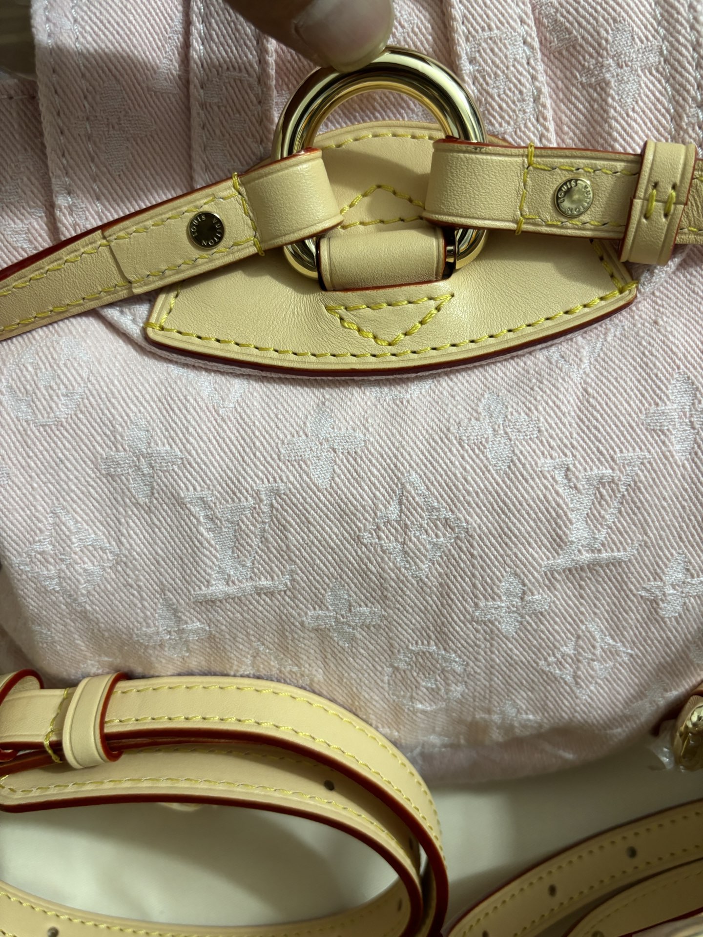 Louis Vuitton Venice Backpack