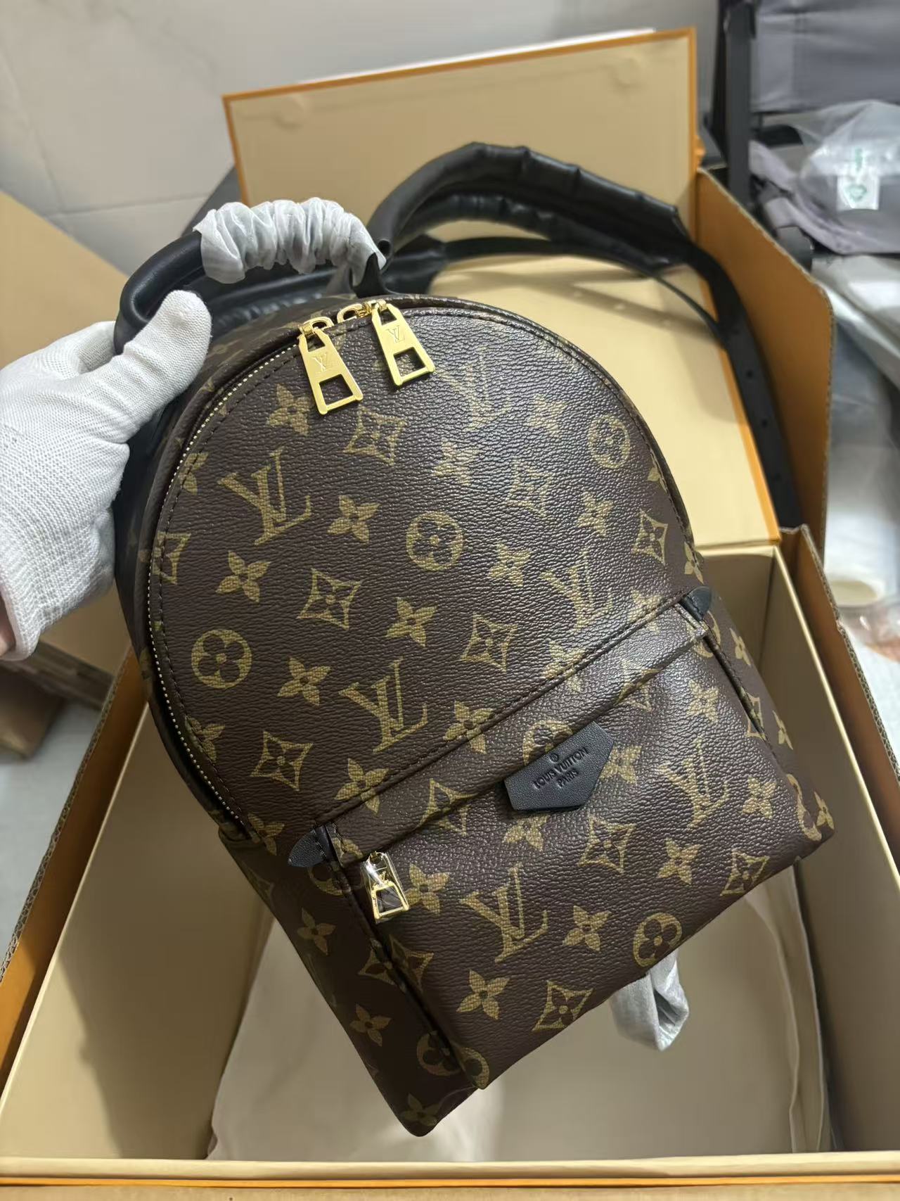 Louis Vuitton Palm Springs Small Backpack
