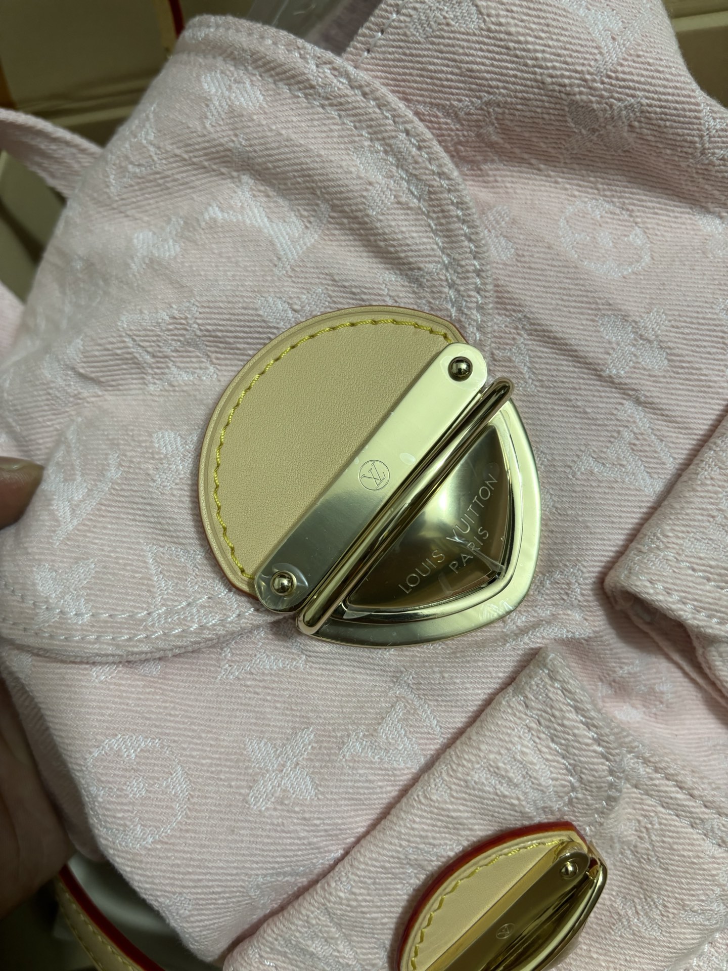 Louis Vuitton Venice Backpack