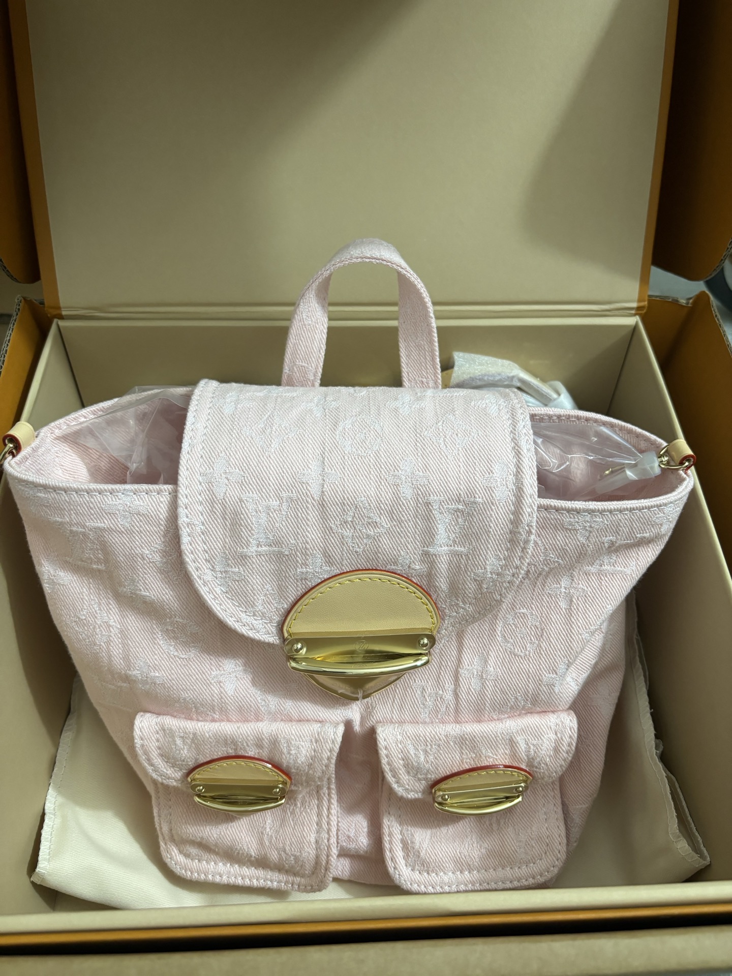 Louis Vuitton Venice Backpack