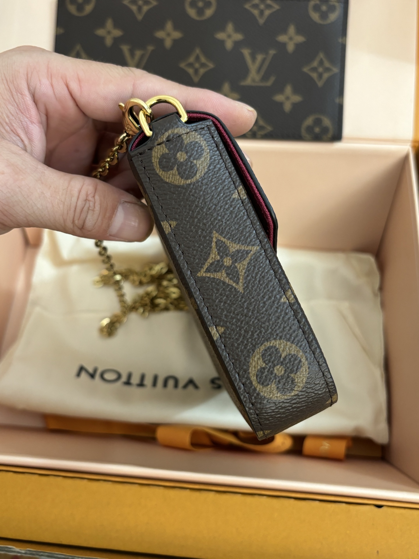Louis Vuitton POCHETTE FÉLICIE Chain Bag