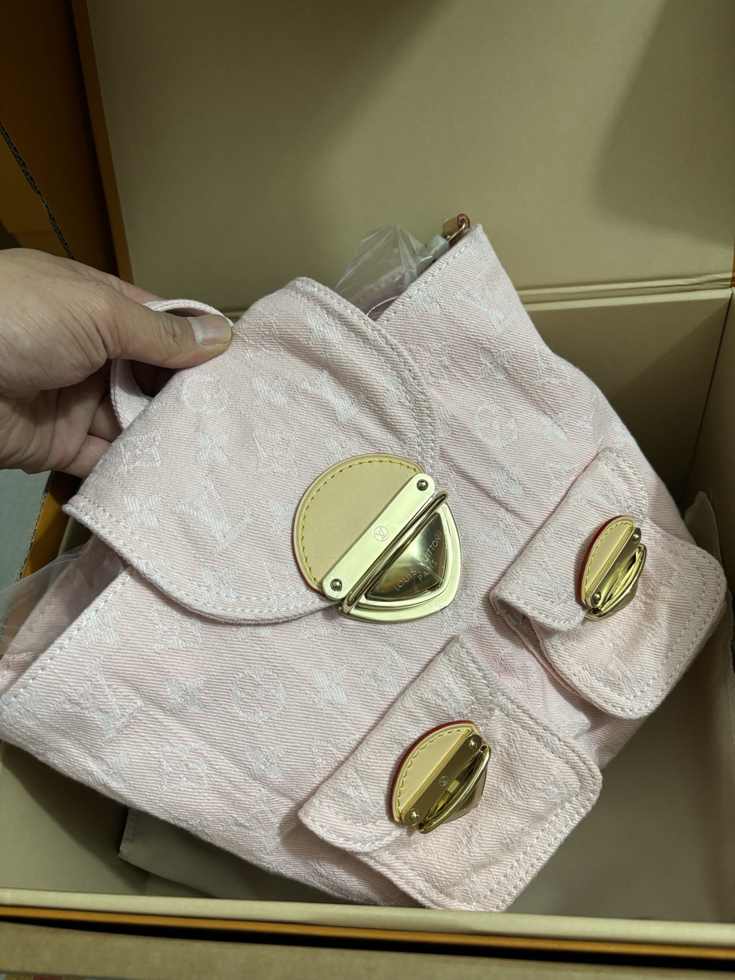 Louis Vuitton Venice Backpack