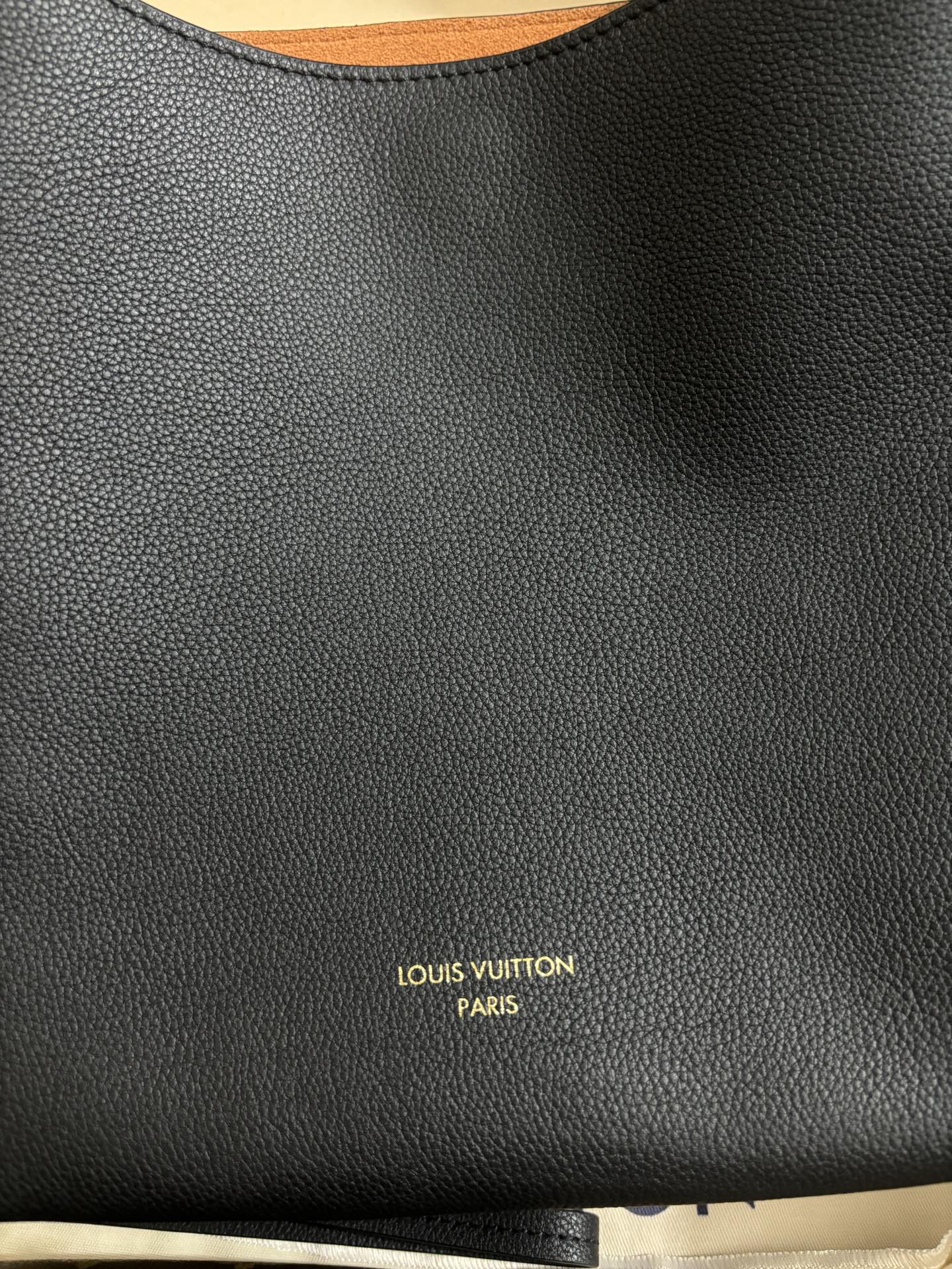 Louis Vuitton Low Key Hobo Sj Small Handbag