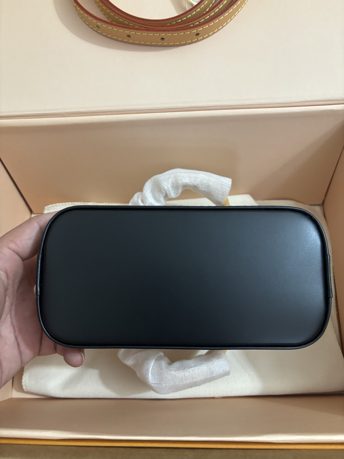 Louis Vuitton New Launch Nano Alma Handbag