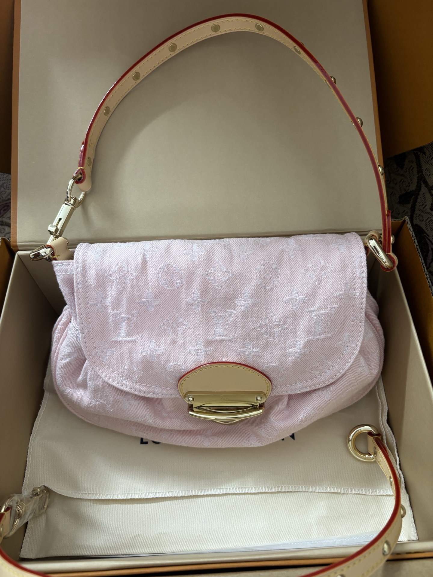 Louis Vuitton Monogram Denim Canvas Bag