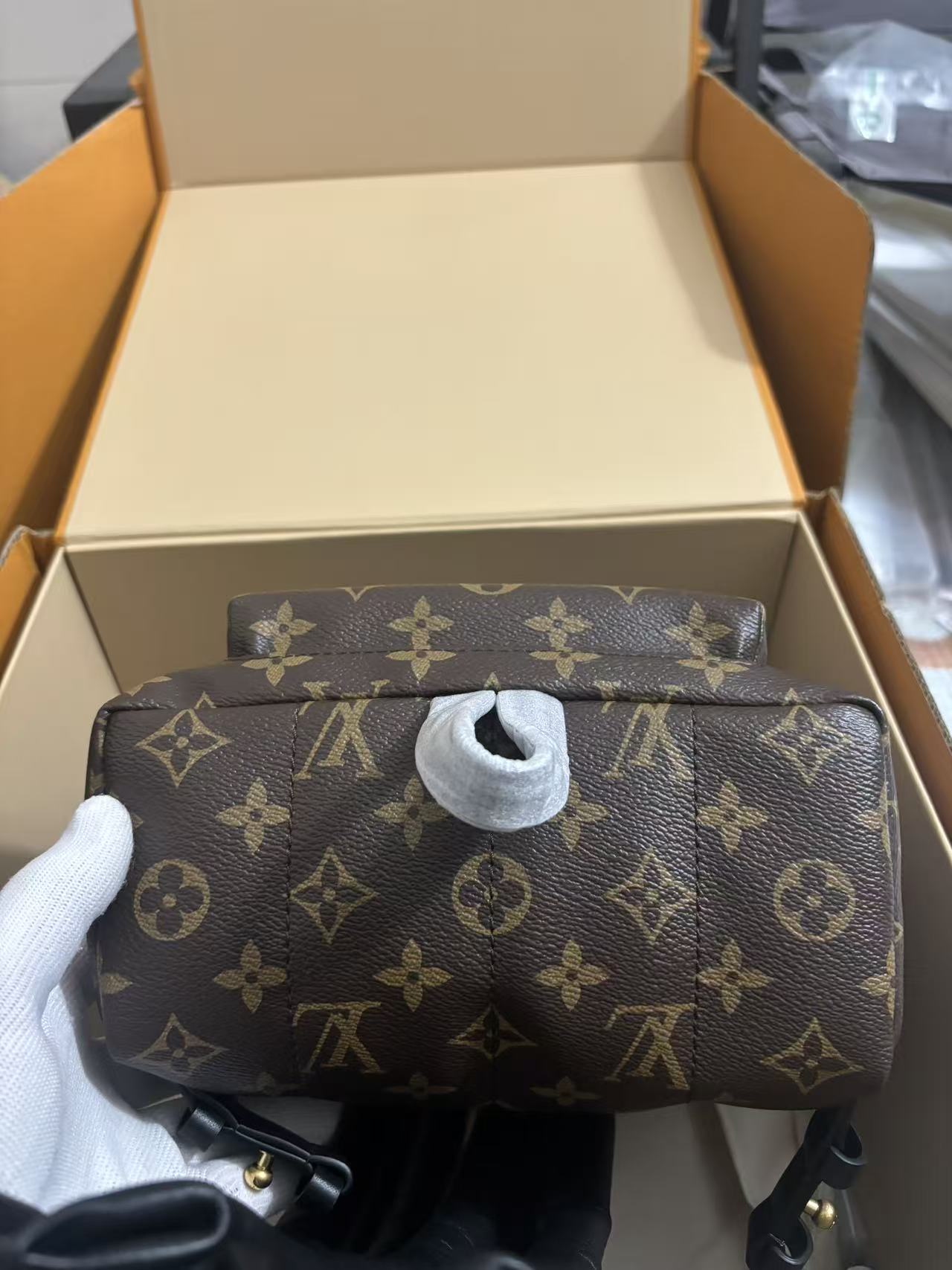 Louis Vuitton Palm Springs Small Backpack