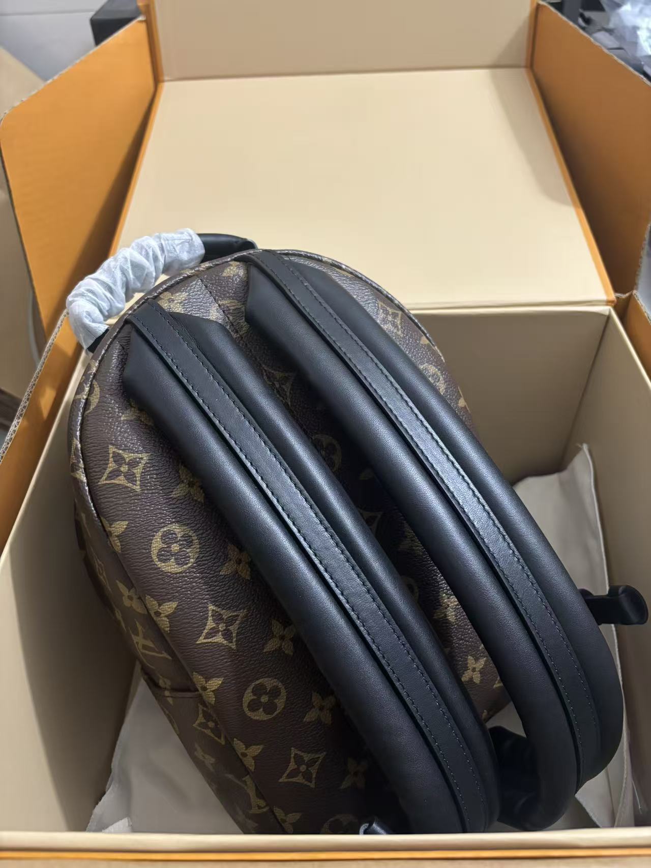 Louis Vuitton Palm Springs Small Backpack