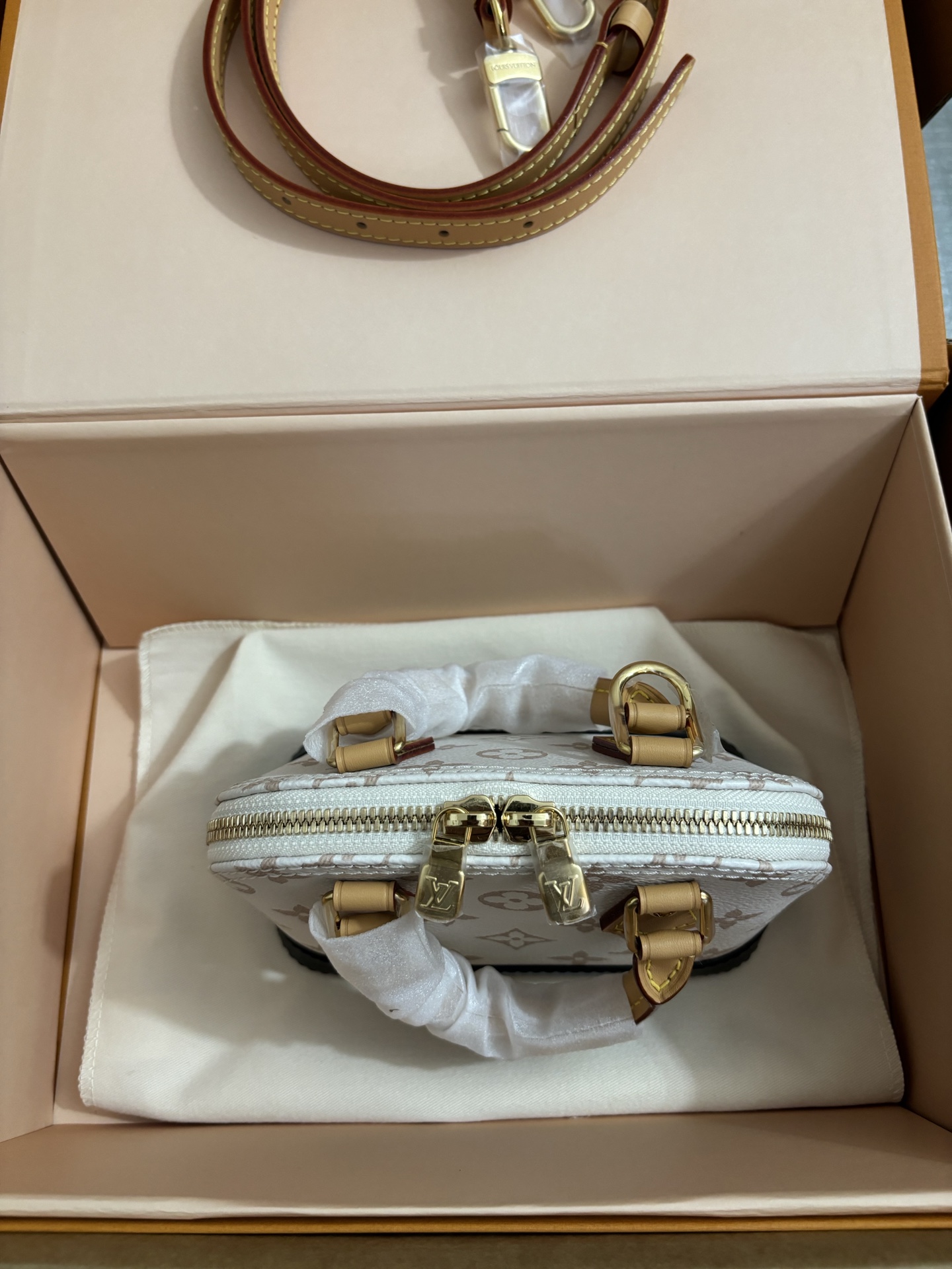 Louis Vuitton New Launch Nano Alma Handbag