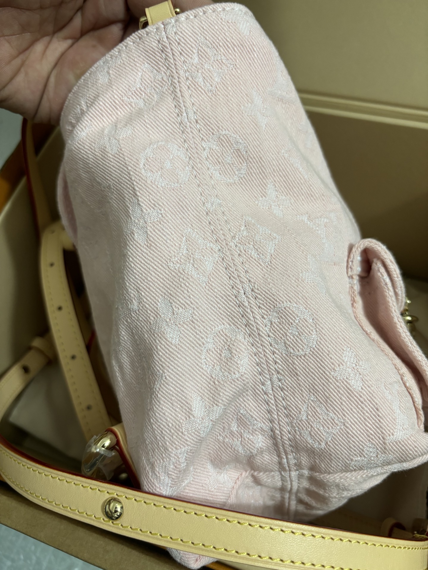 Louis Vuitton Venice Backpack