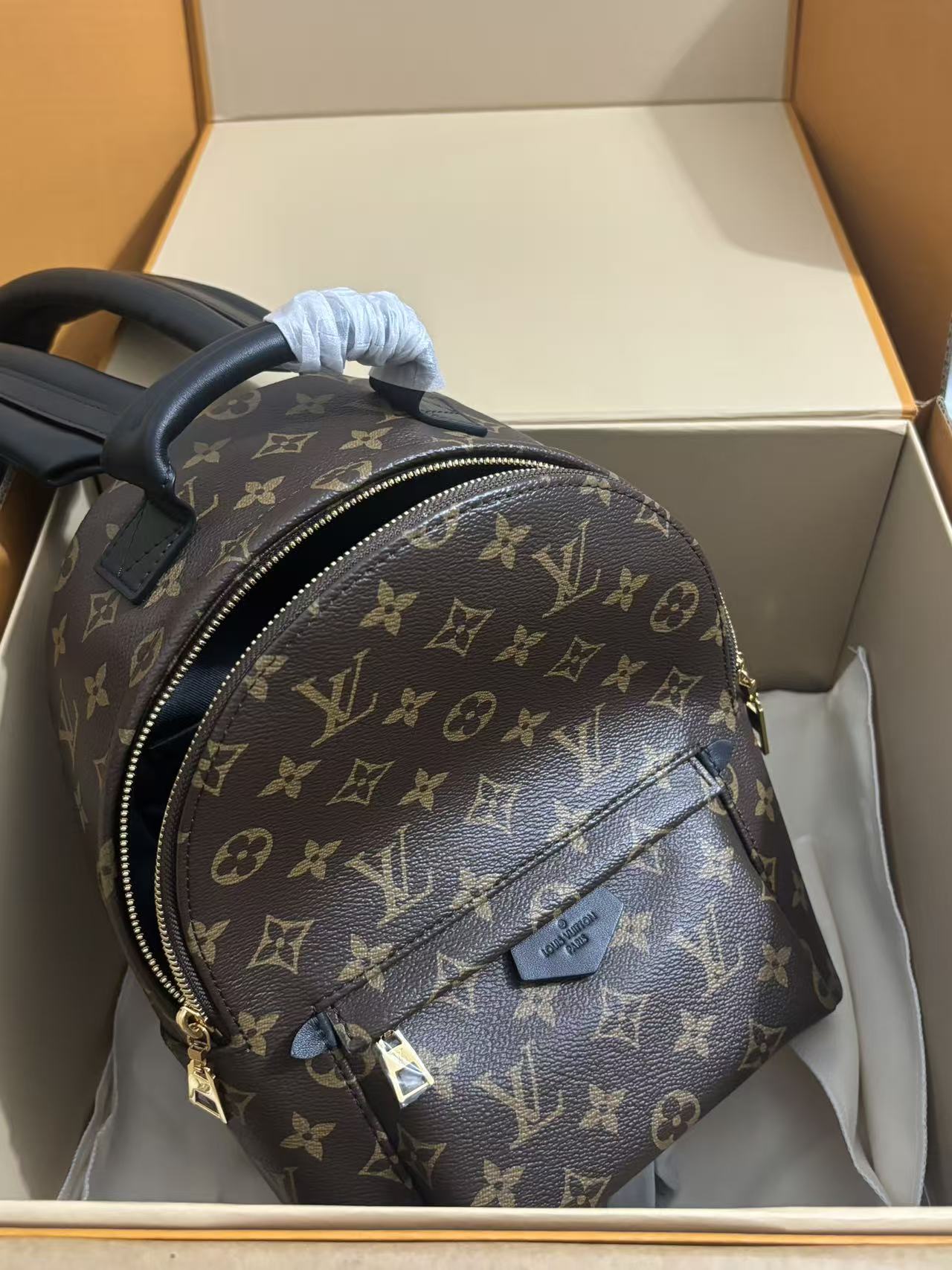 Louis Vuitton Palm Springs Small Backpack