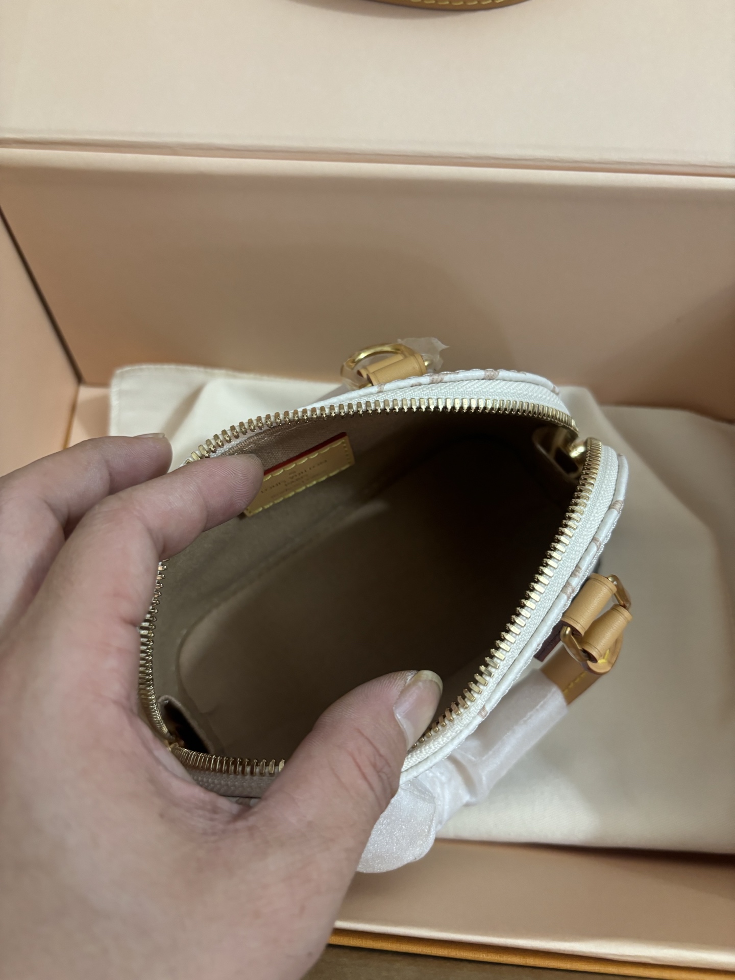 Louis Vuitton New Launch Nano Alma Handbag