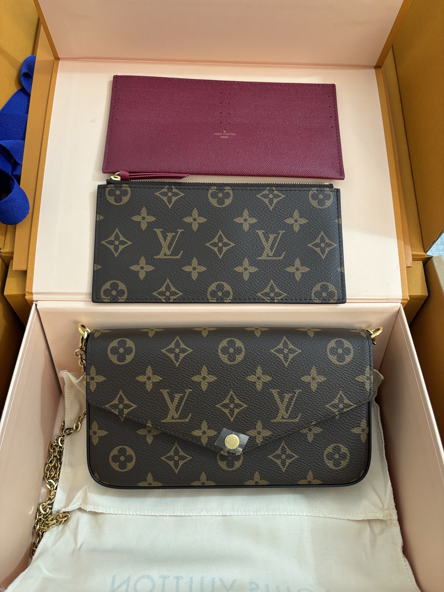 Louis Vuitton POCHETTE FÉLICIE Chain Bag
