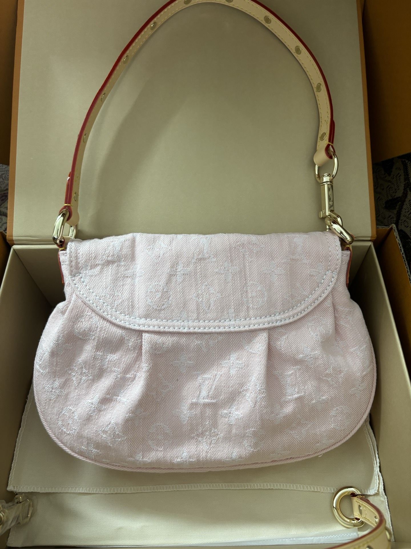 Louis Vuitton Monogram Denim Canvas Bag