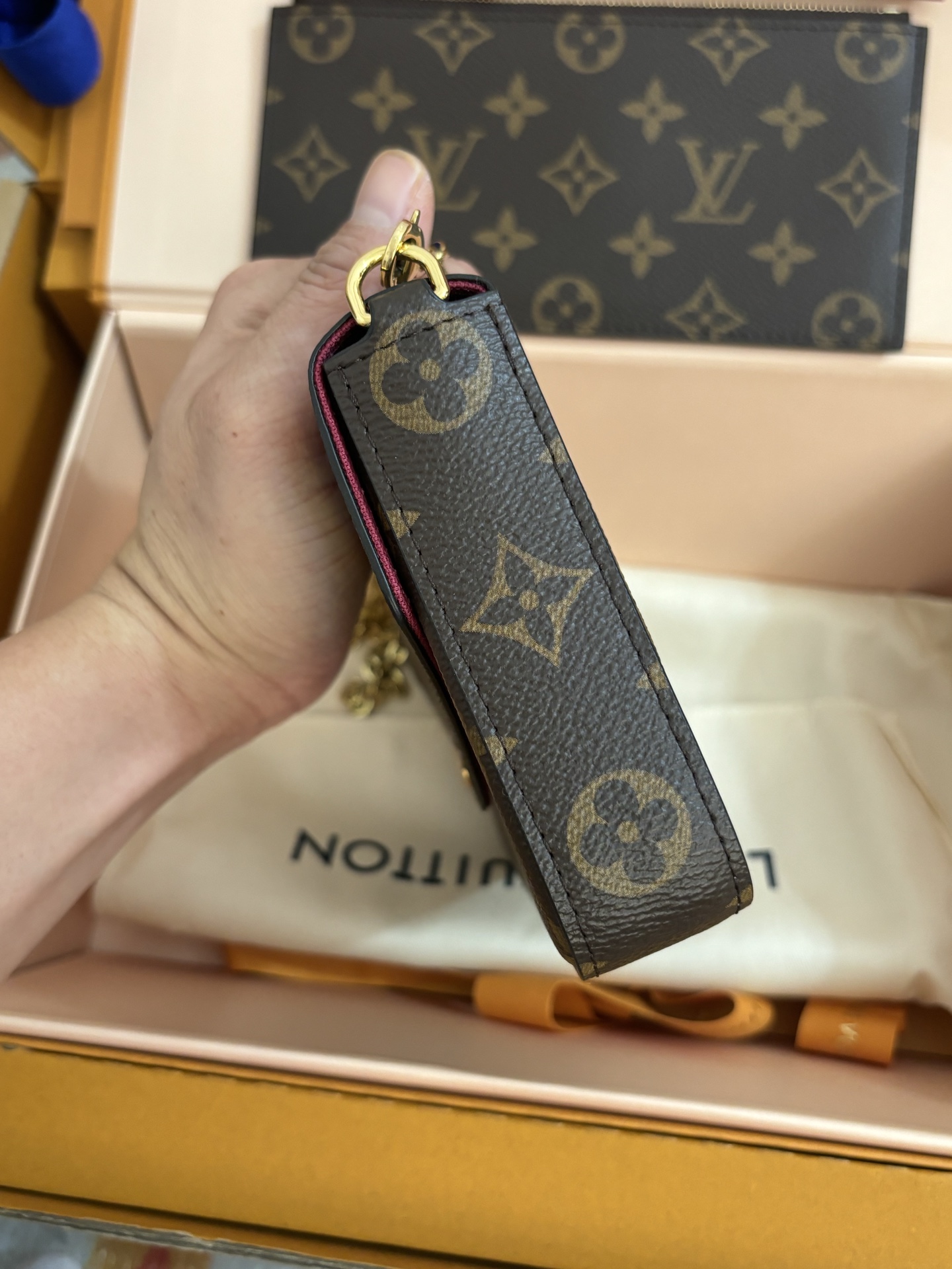 Louis Vuitton POCHETTE FÉLICIE Chain Bag
