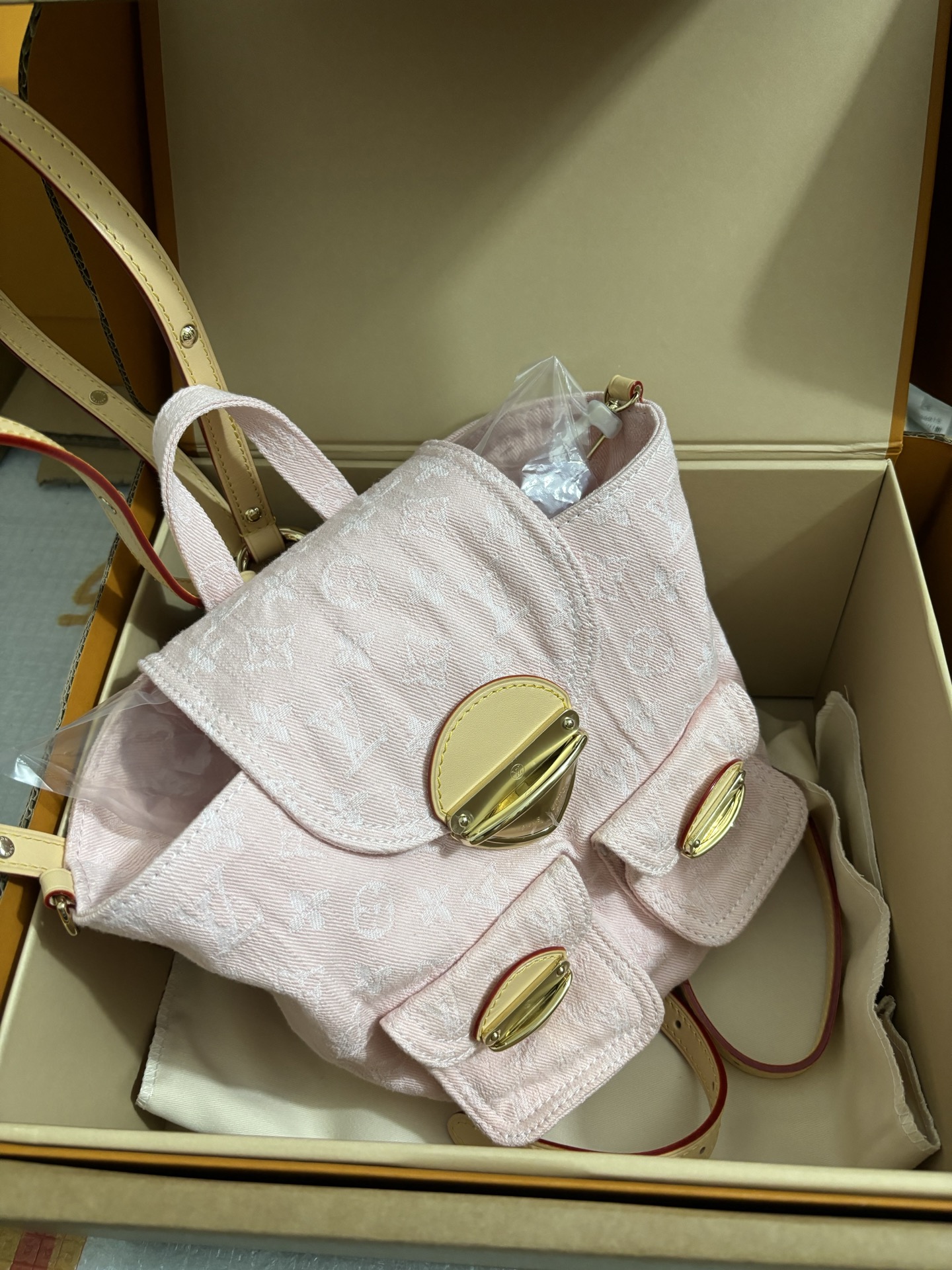 Louis Vuitton Venice Backpack