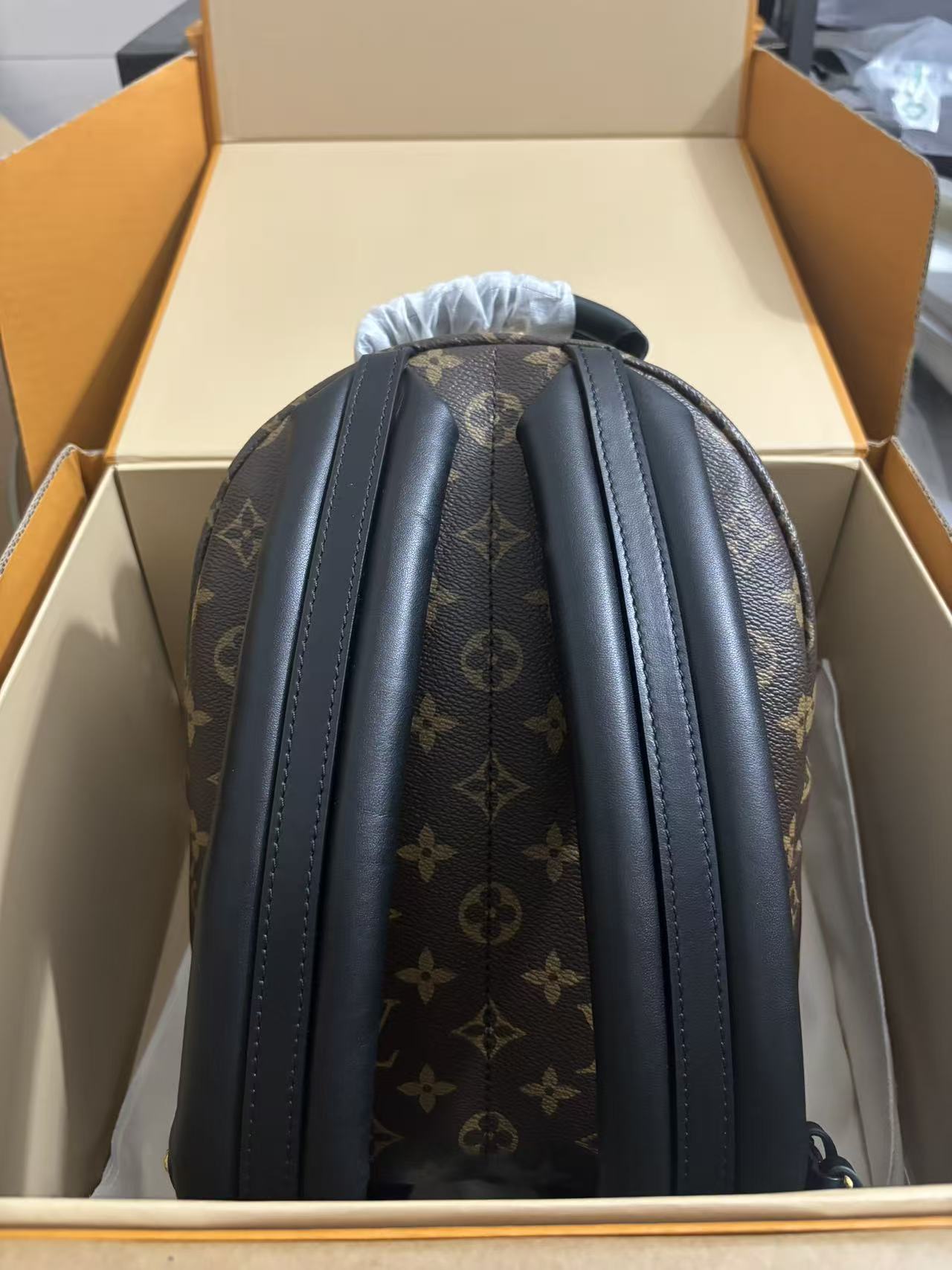 Louis Vuitton Palm Springs Small Backpack