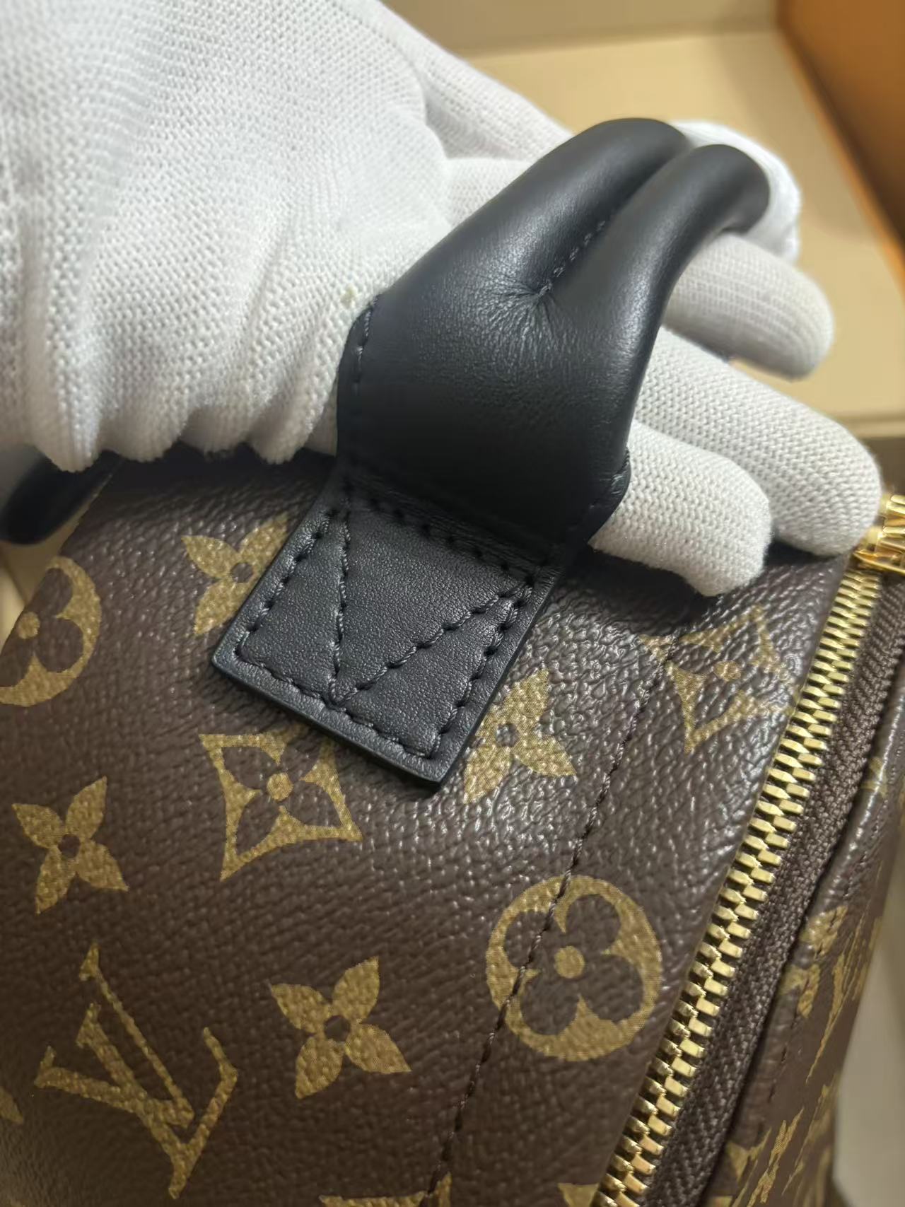 Louis Vuitton Palm Springs Small Backpack