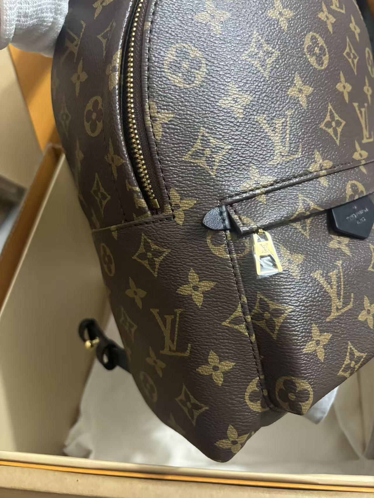 Louis Vuitton Palm Springs Small Backpack