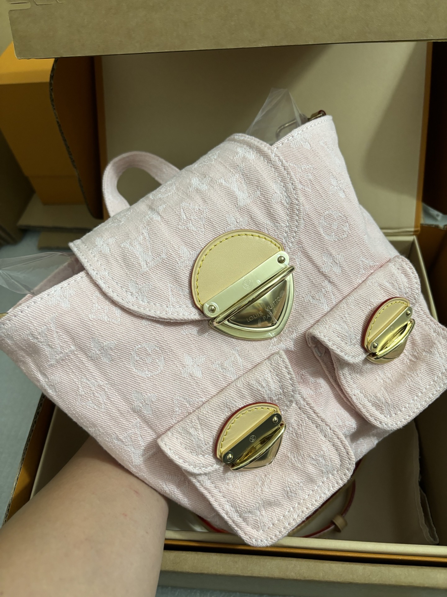 Louis Vuitton Venice Backpack