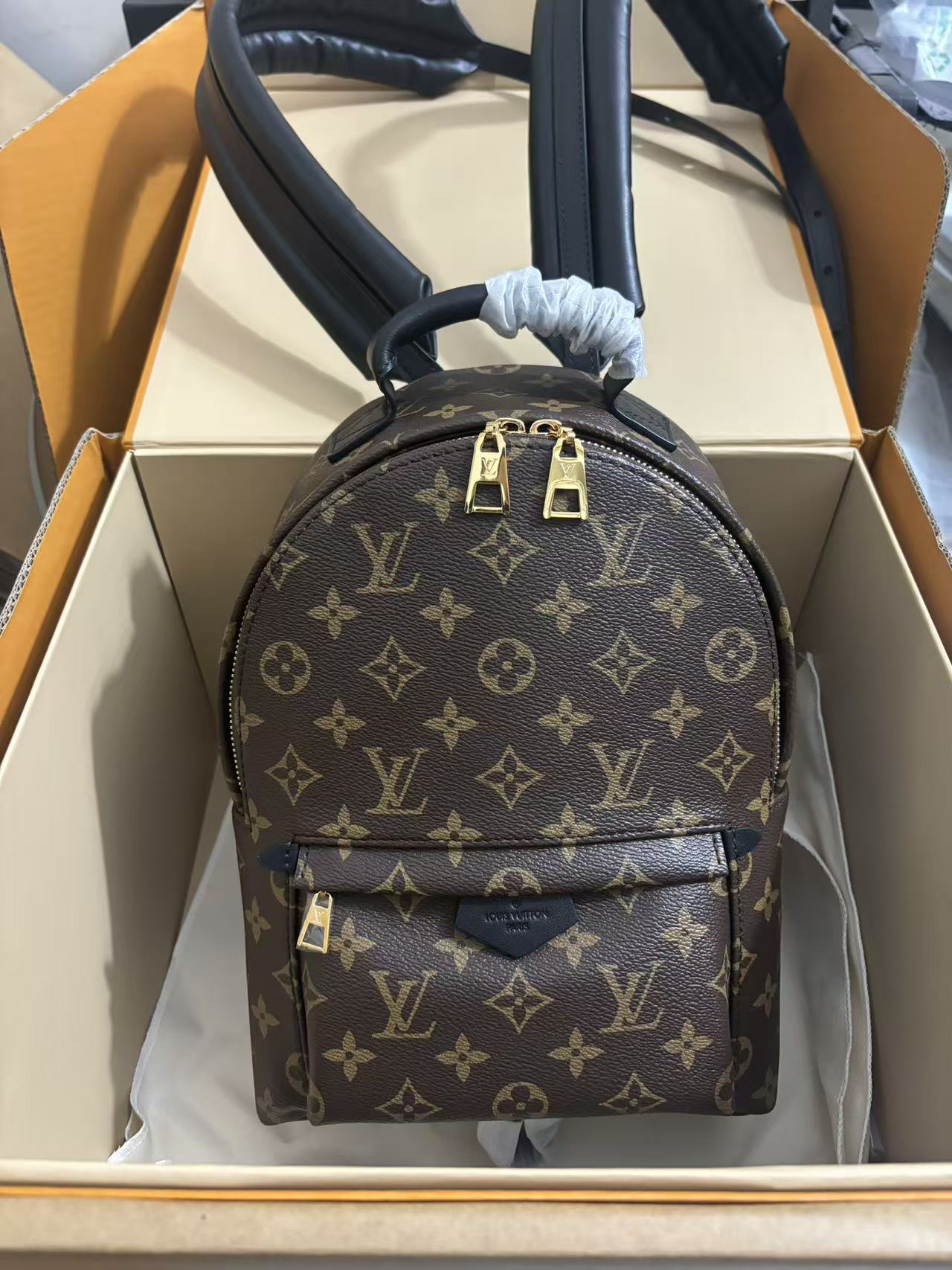Louis Vuitton Palm Springs Small Backpack