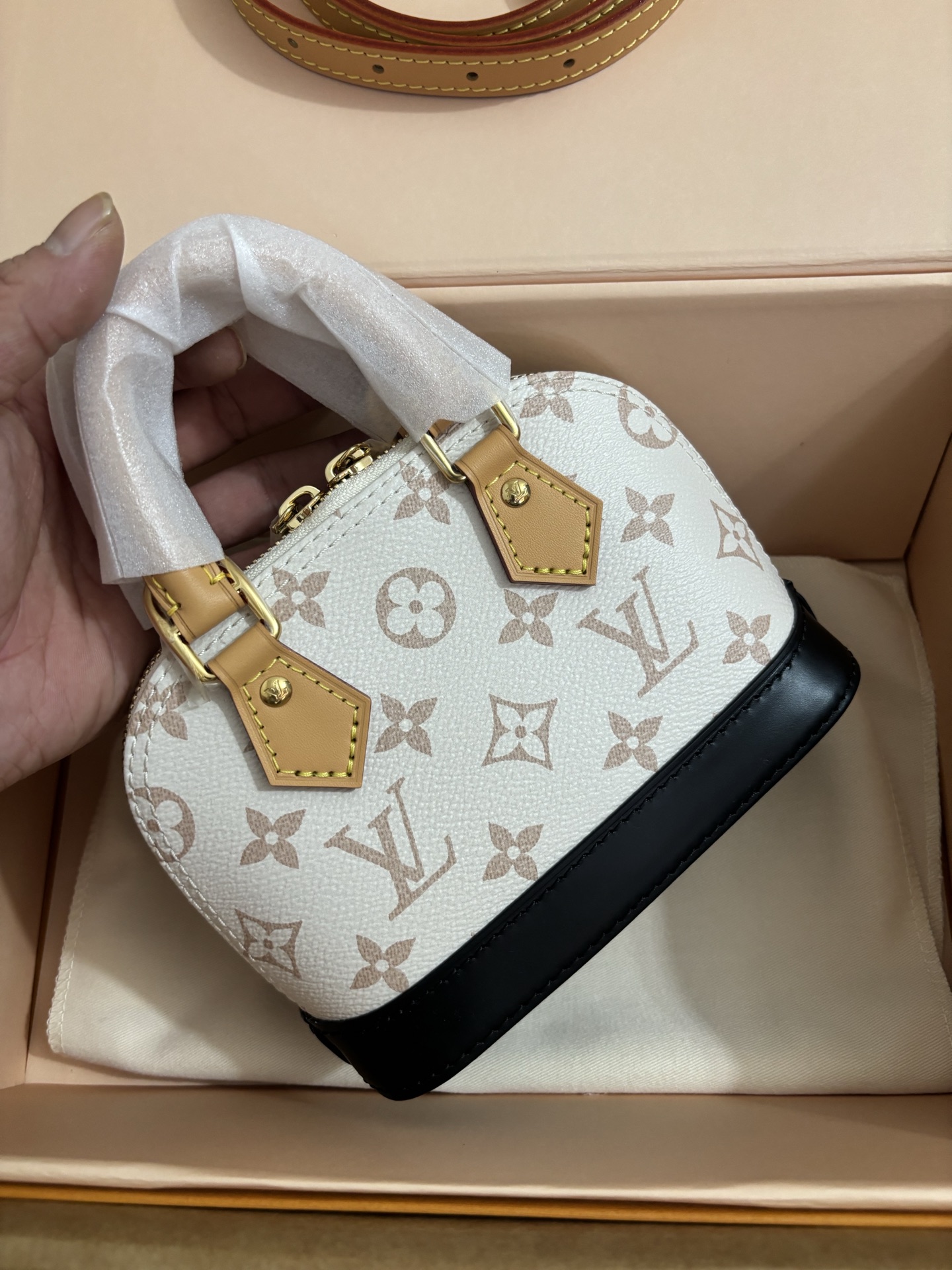 Louis Vuitton New Launch Nano Alma Handbag