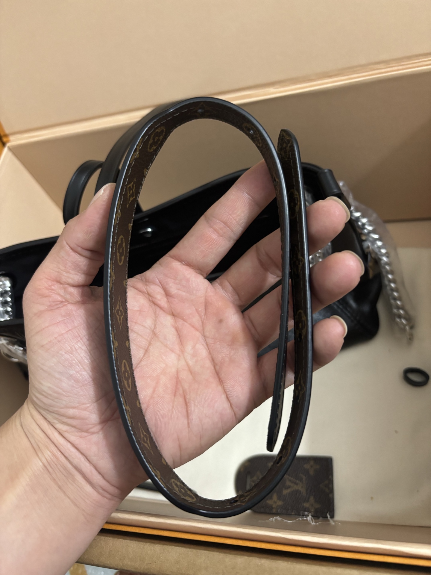 Louis Vuitton CarryAll BB handbag