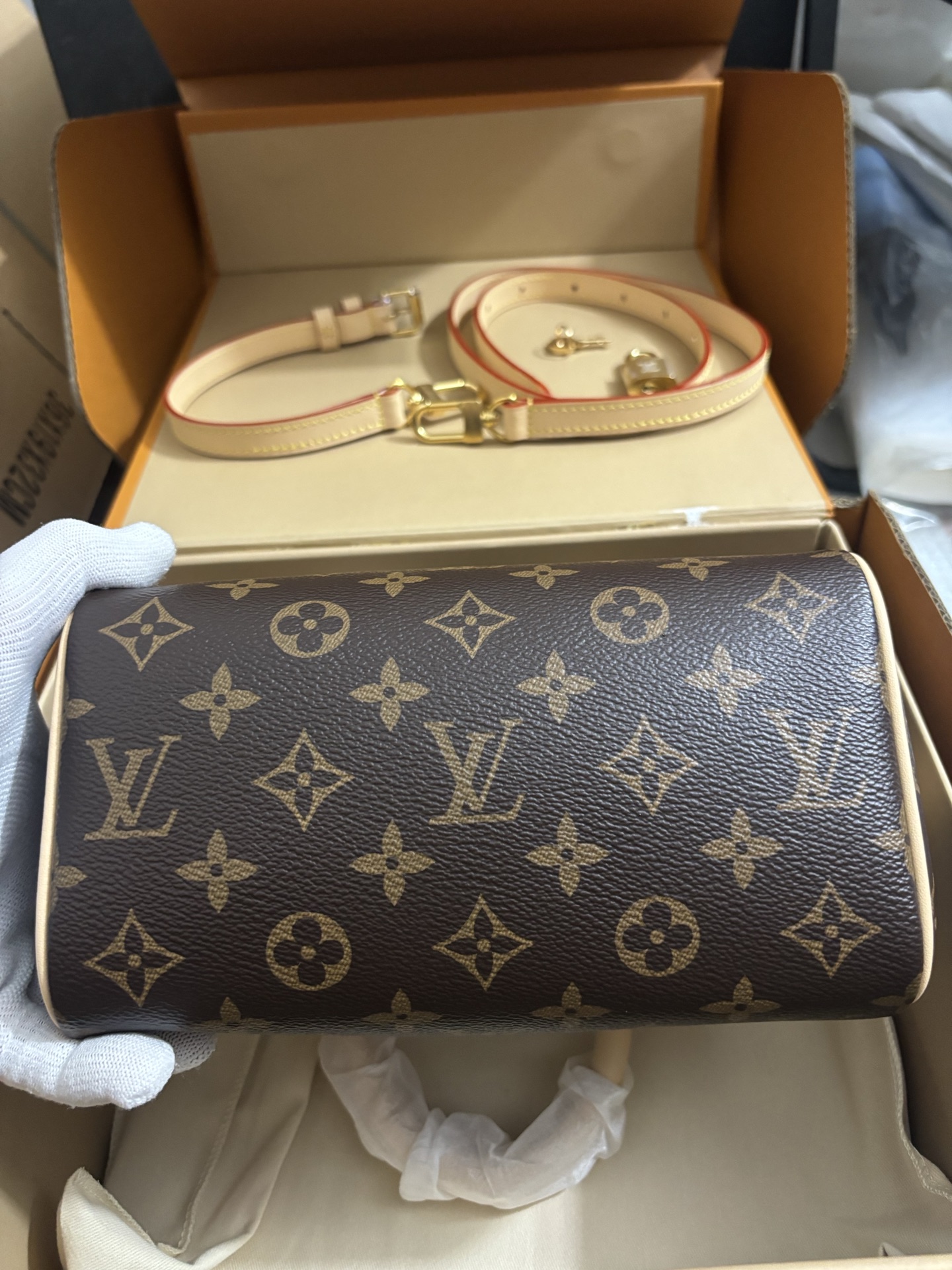 Louis Vuitton Speedy Bandoulière 20 handbag