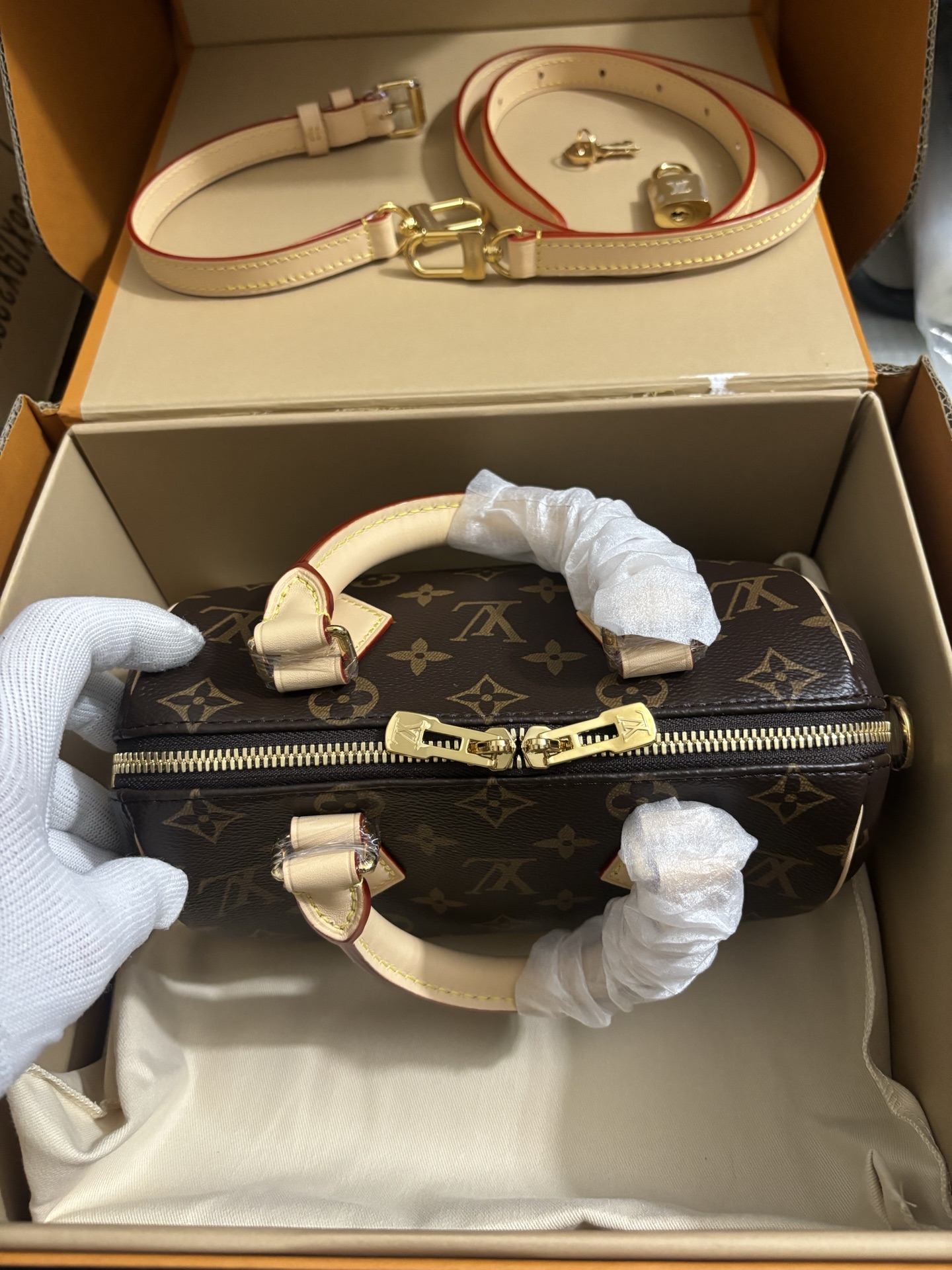 Louis Vuitton Speedy Bandoulière 20 handbag